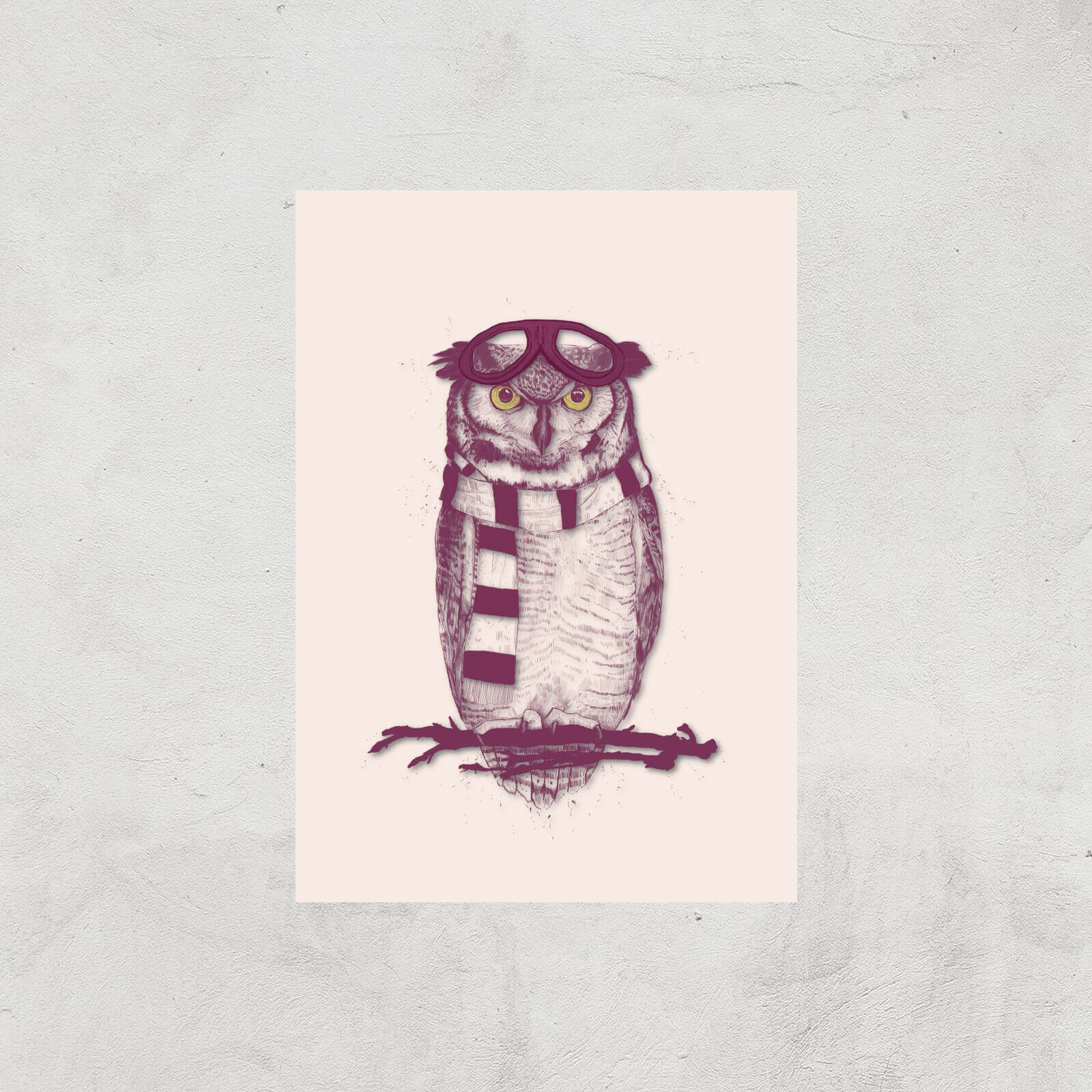 Balazs Solti Winter Owl Art Print - A3 - Print Only