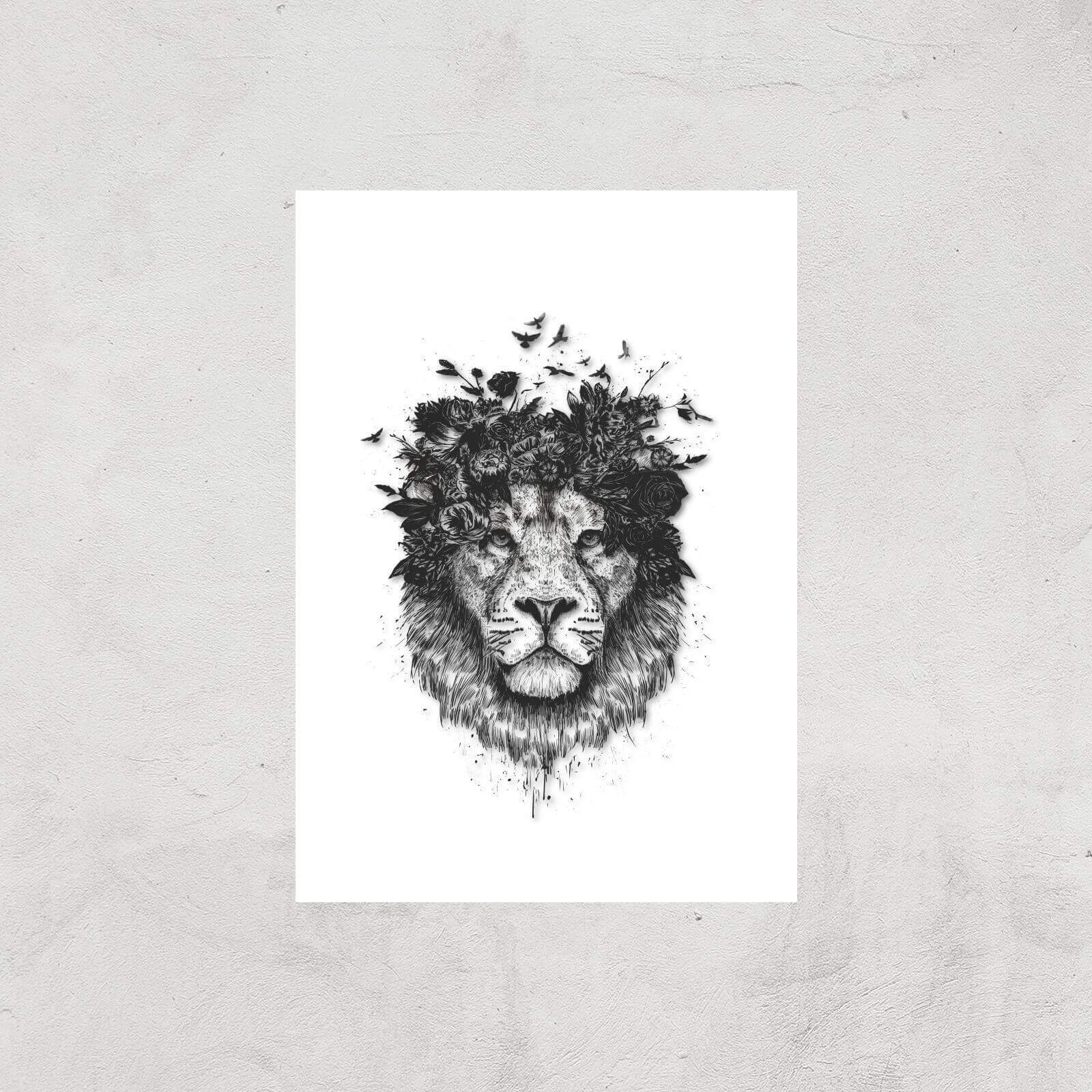 Balazs Solti Lion and Flowers Art Print - A3 - Print Only