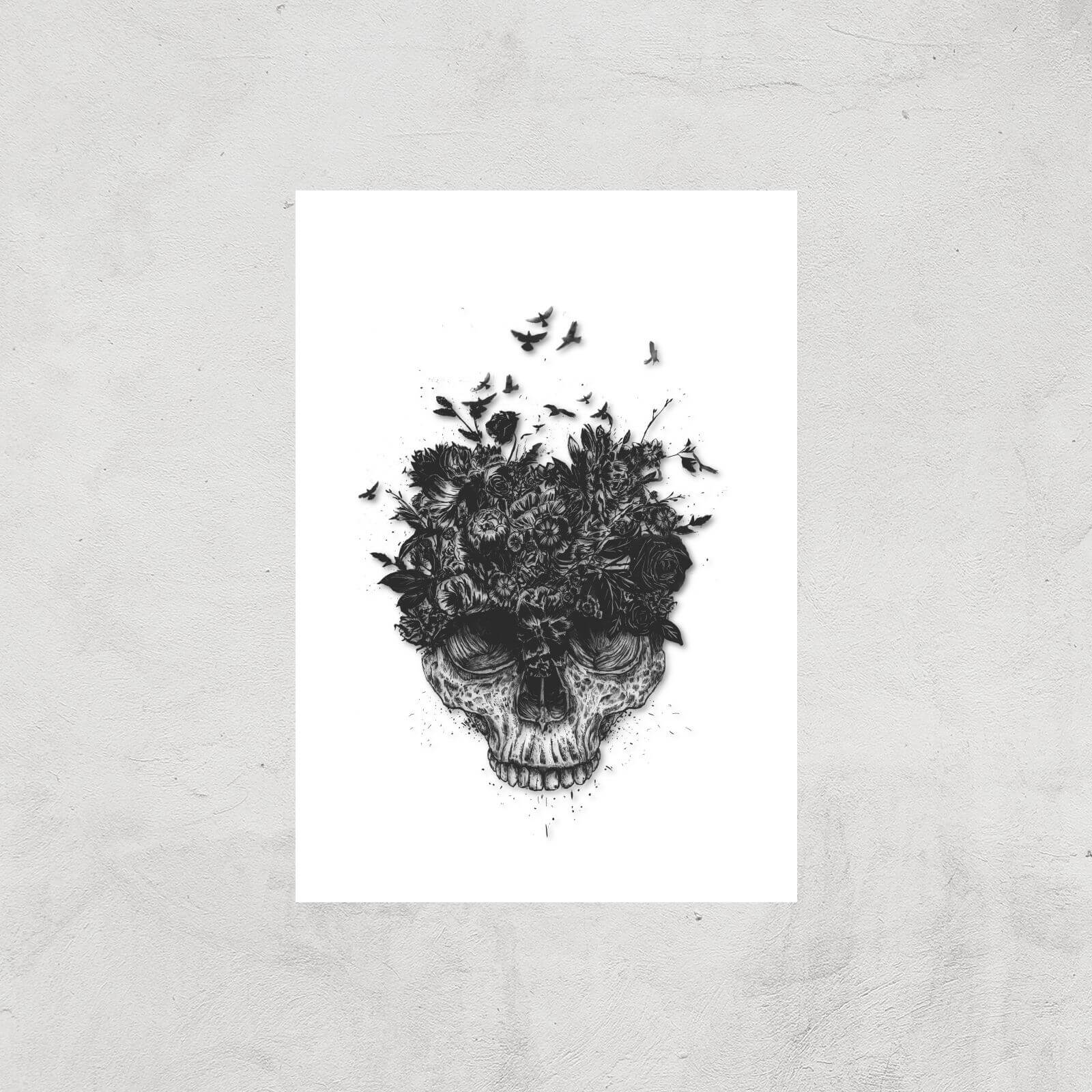 Balazs Solti Skulls and Flowers Art Print - A4 - Print Only