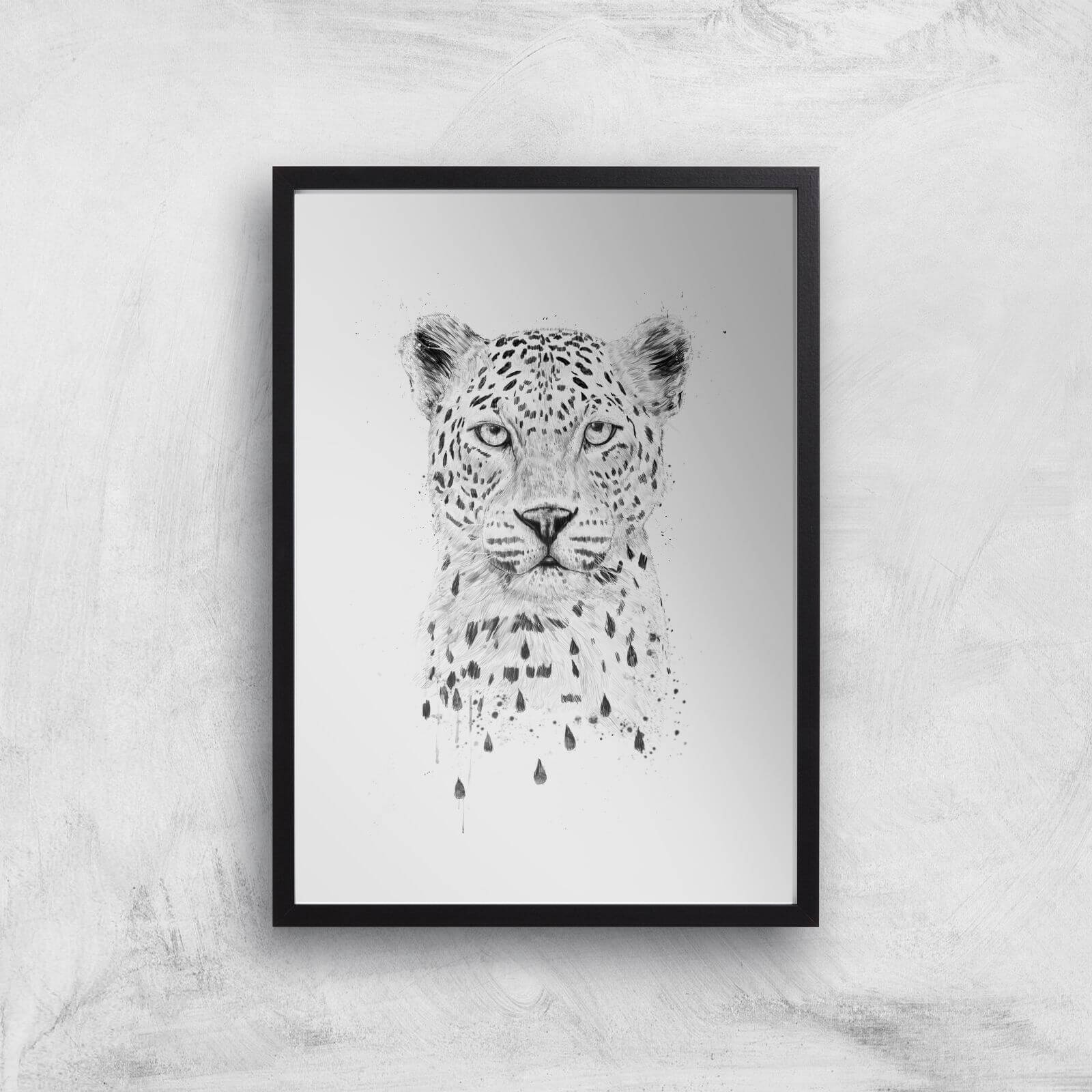 Balazs Solti Leopard Art Print - A4 - Wood Frame