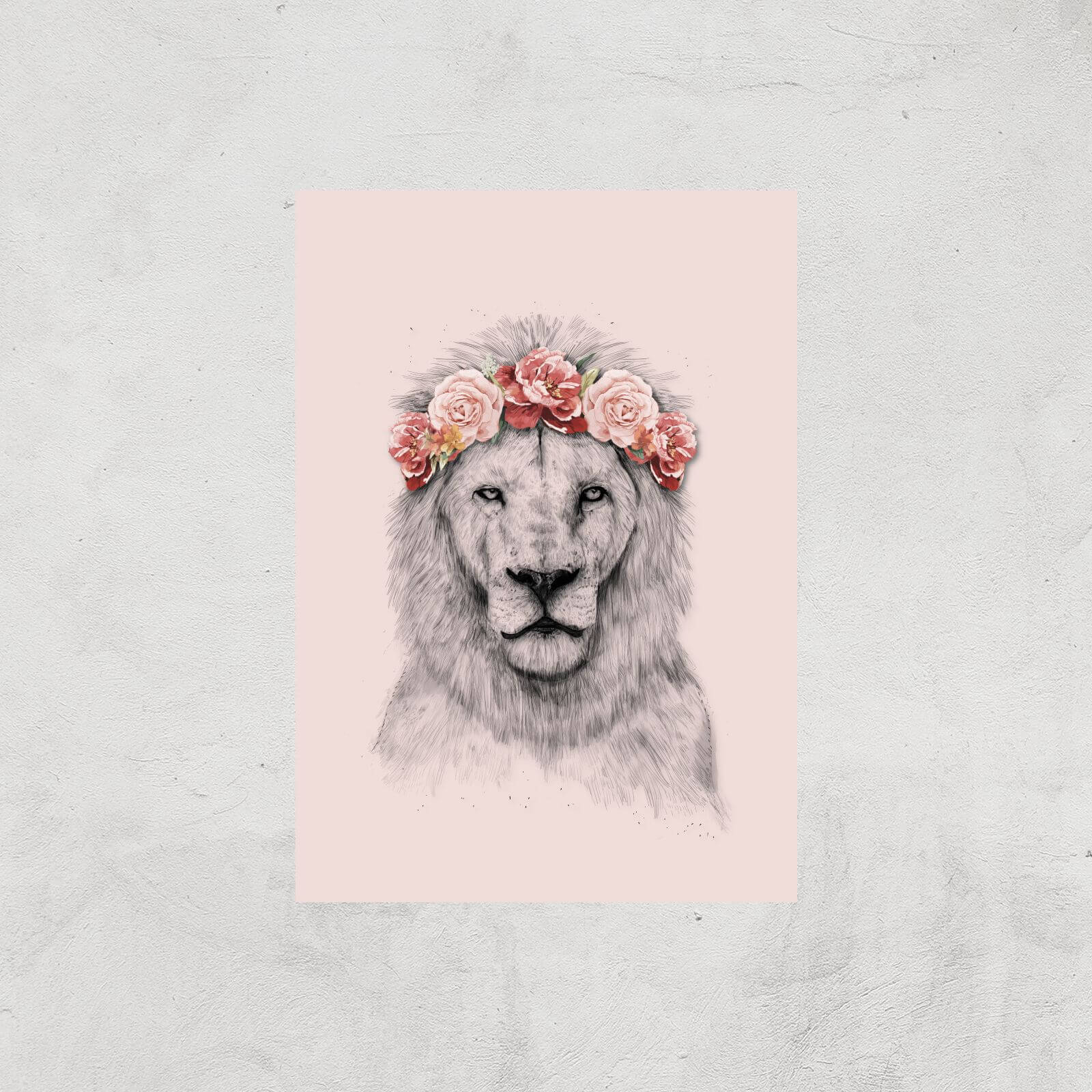 Balazs Solti Lion and Flowers Art Print - A3 - Print Only