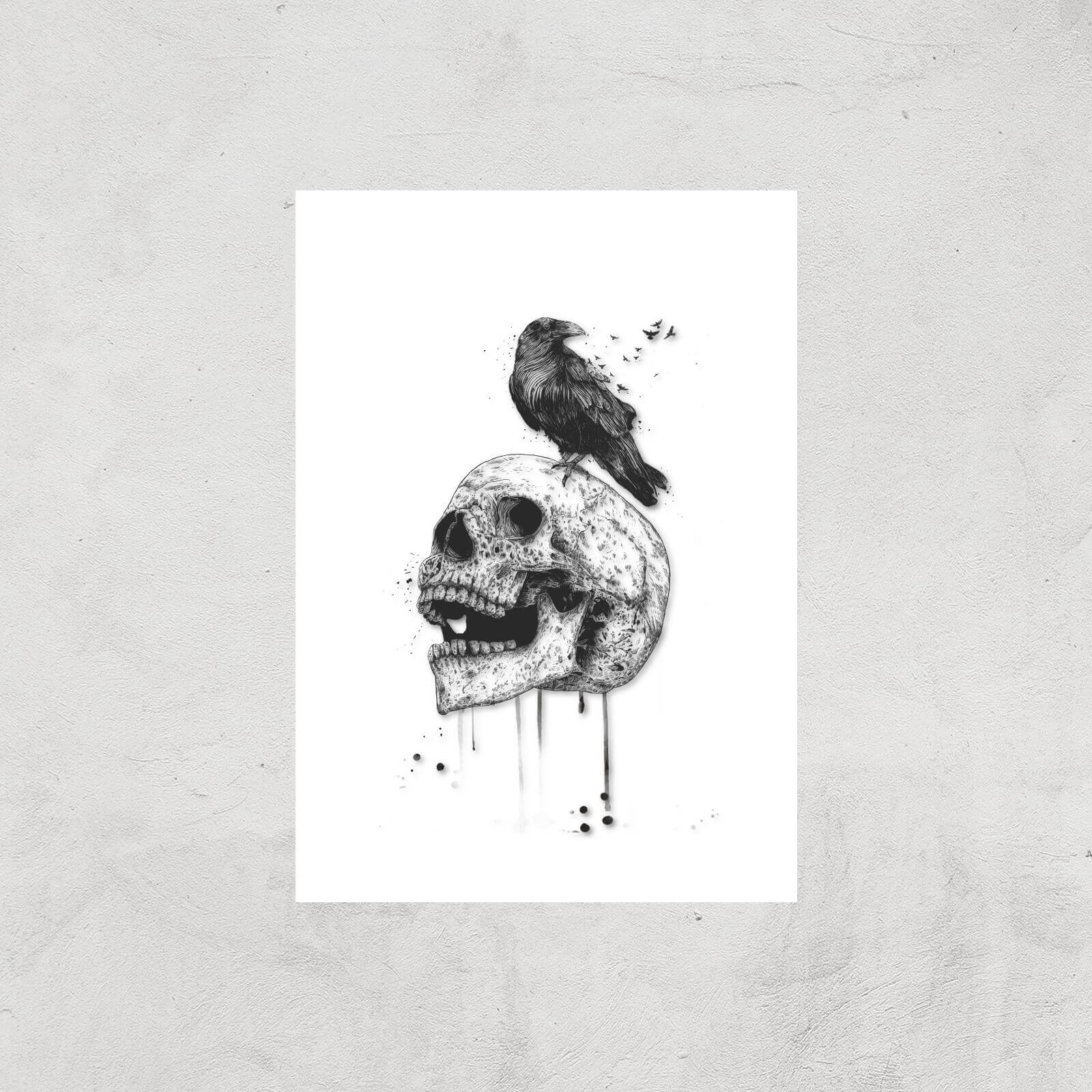 Balazs Solti Skull and Crow Art Print - A4 - Print Only