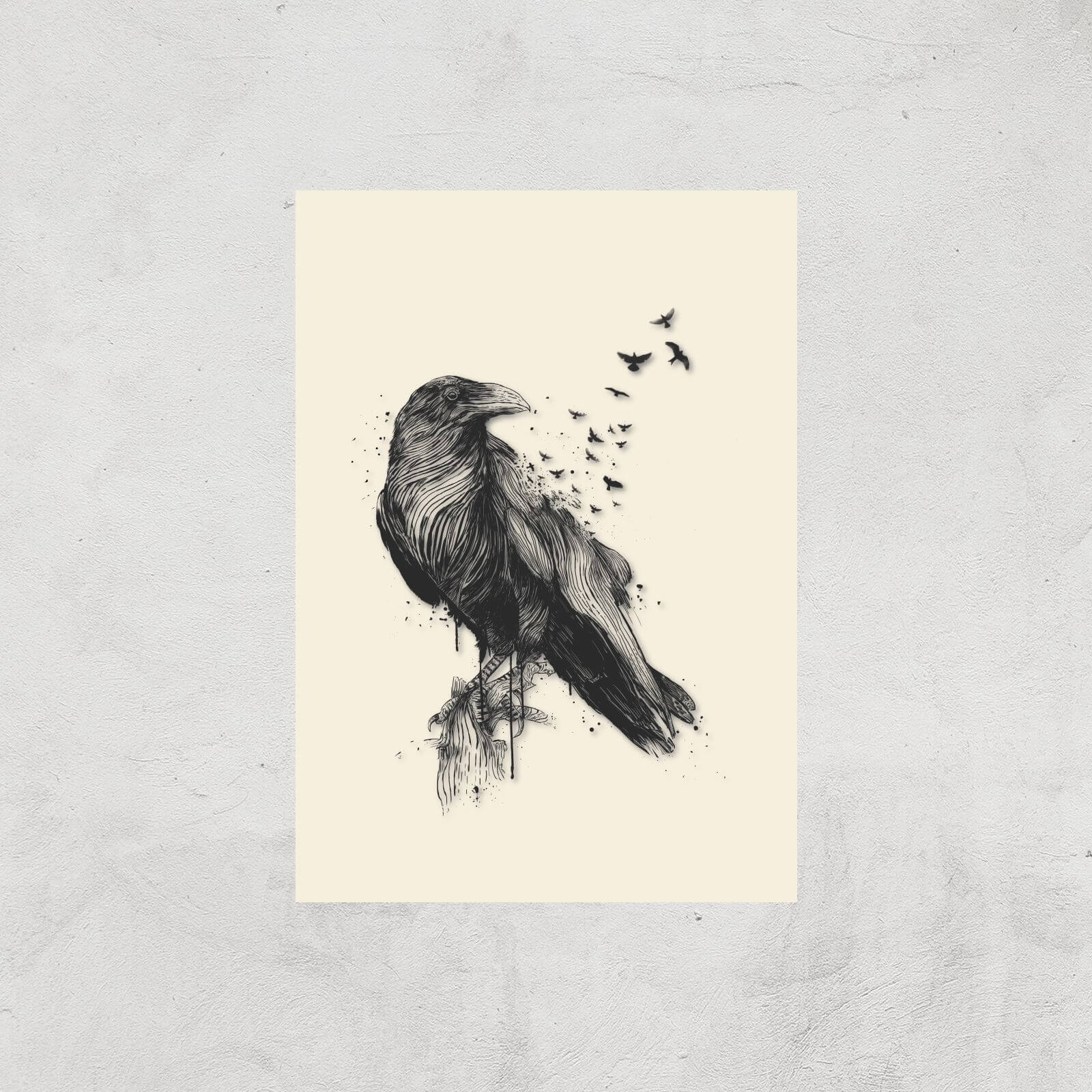 Balazs Solti Birds Flying Art Print - A4 - Print Only