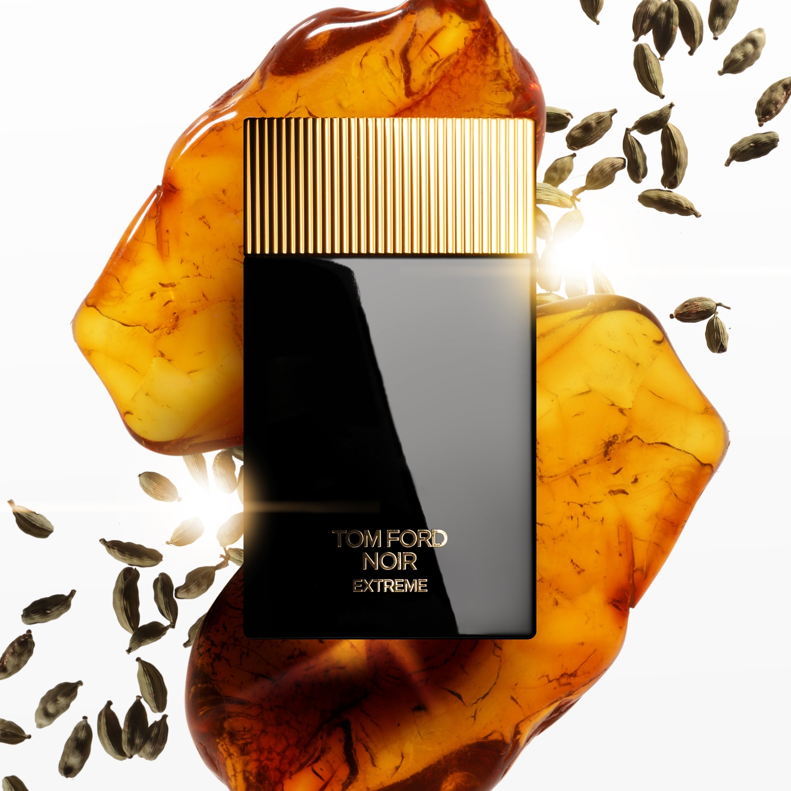 TOM FORD Noir Extreme Eau de Parfum 100ml