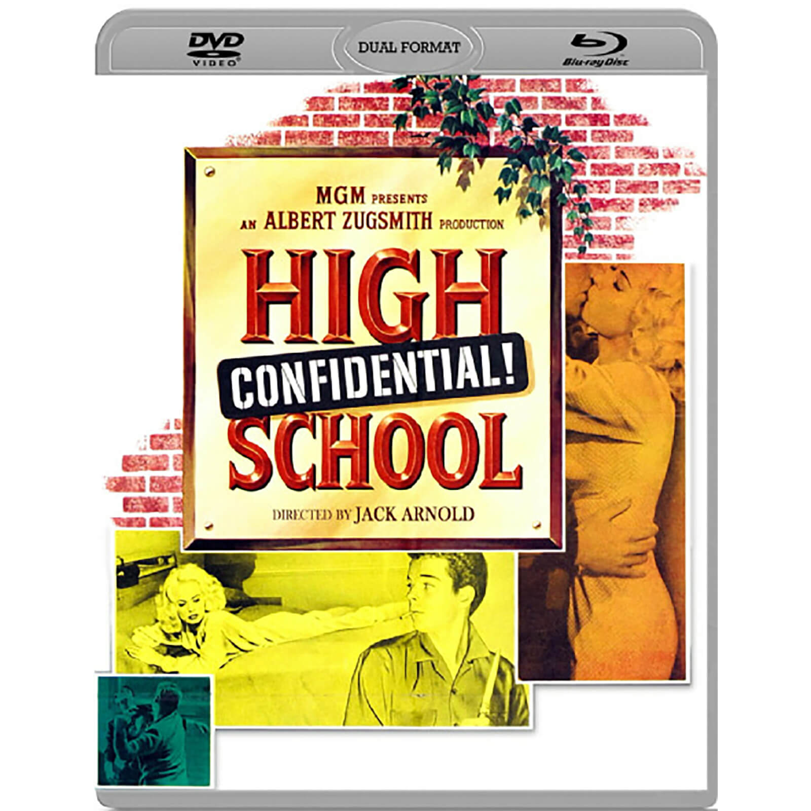 High School Confidential Dual Format