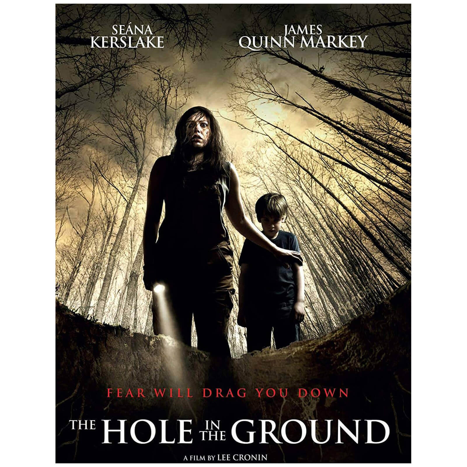 Click to view product details and reviews for The Hole In The Ground.