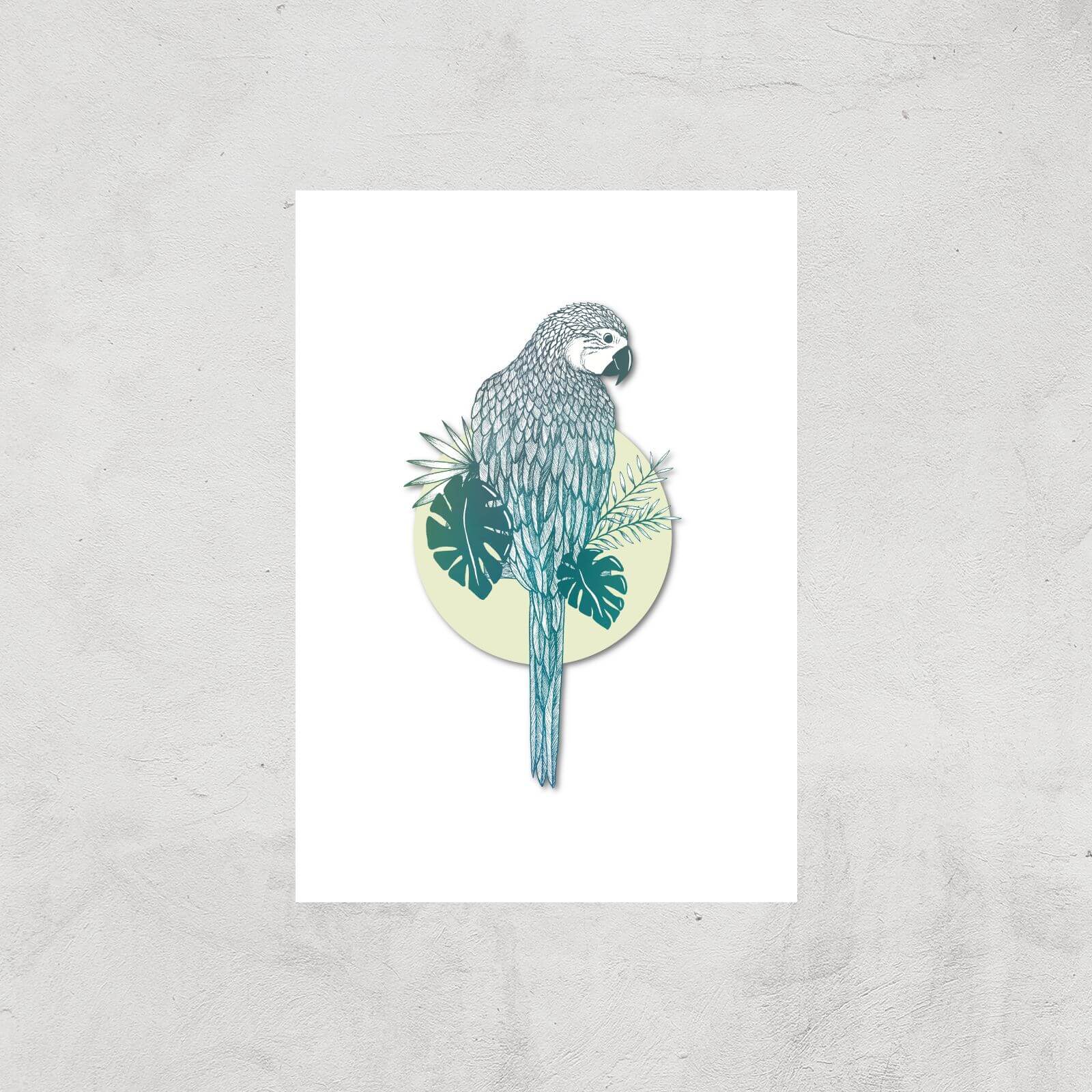 Parrot Art Print - A3 - Print Only