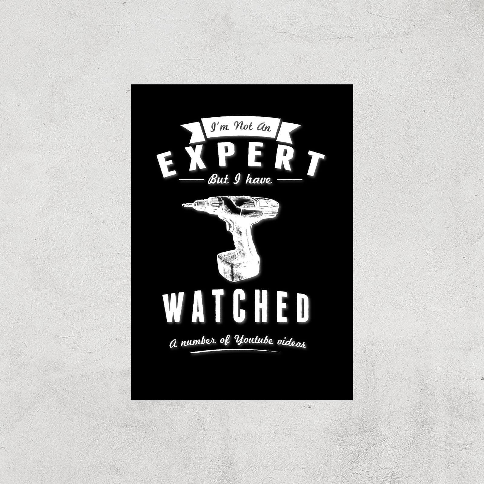 Im Not An Expert Art Print - A3 - Print Only