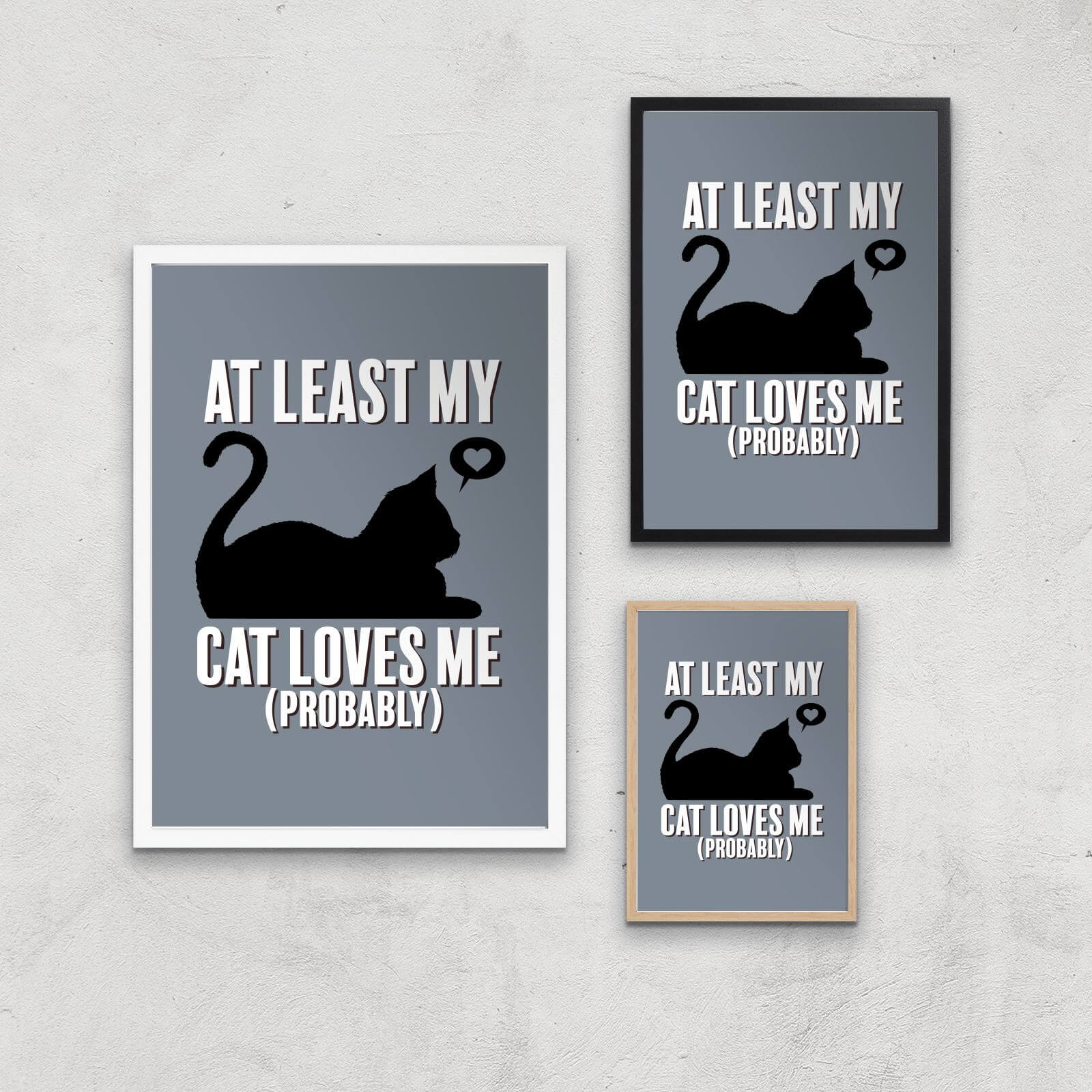 At Least My Cat Loves Me Art Print - A2 - White Frame