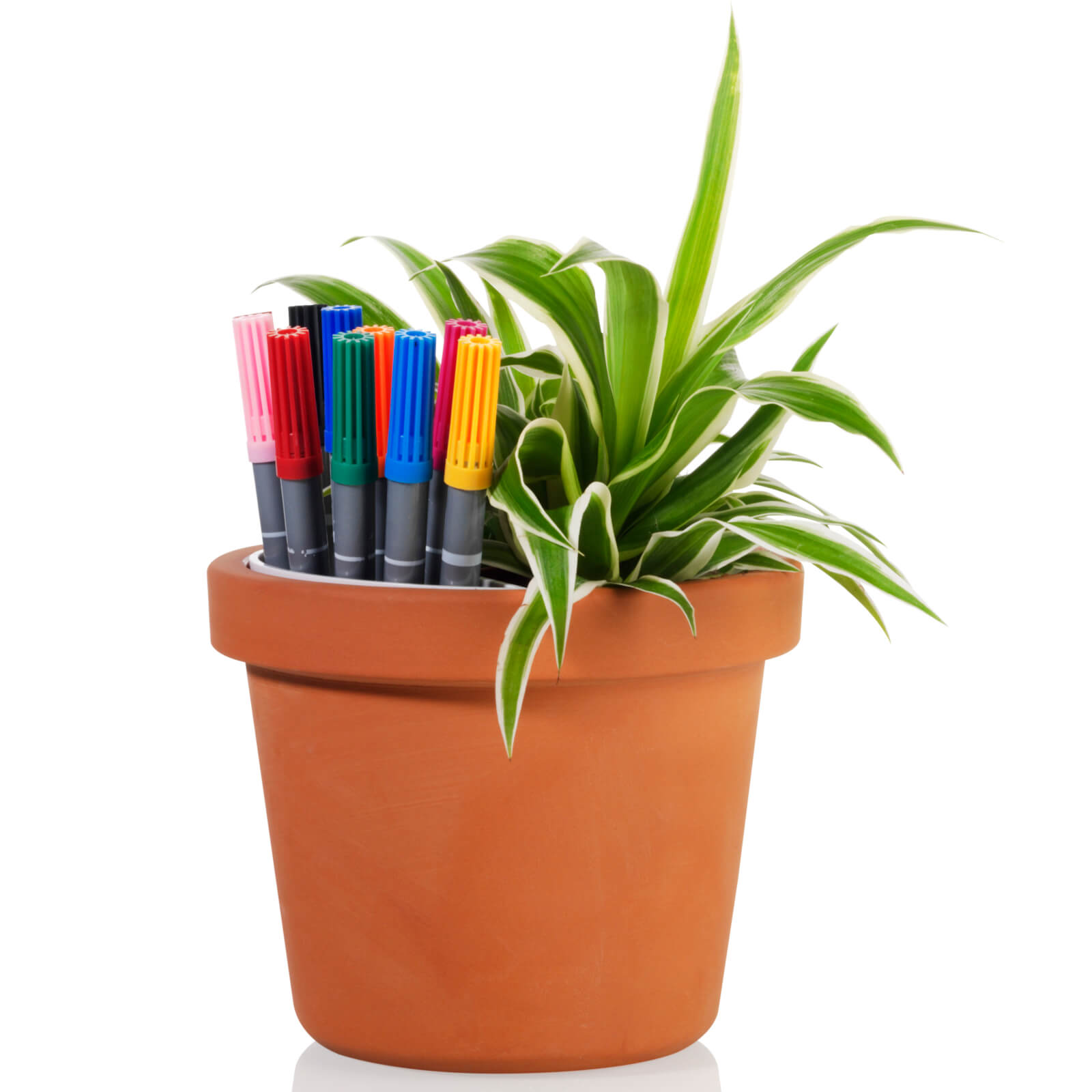 Plant Pot Tidy