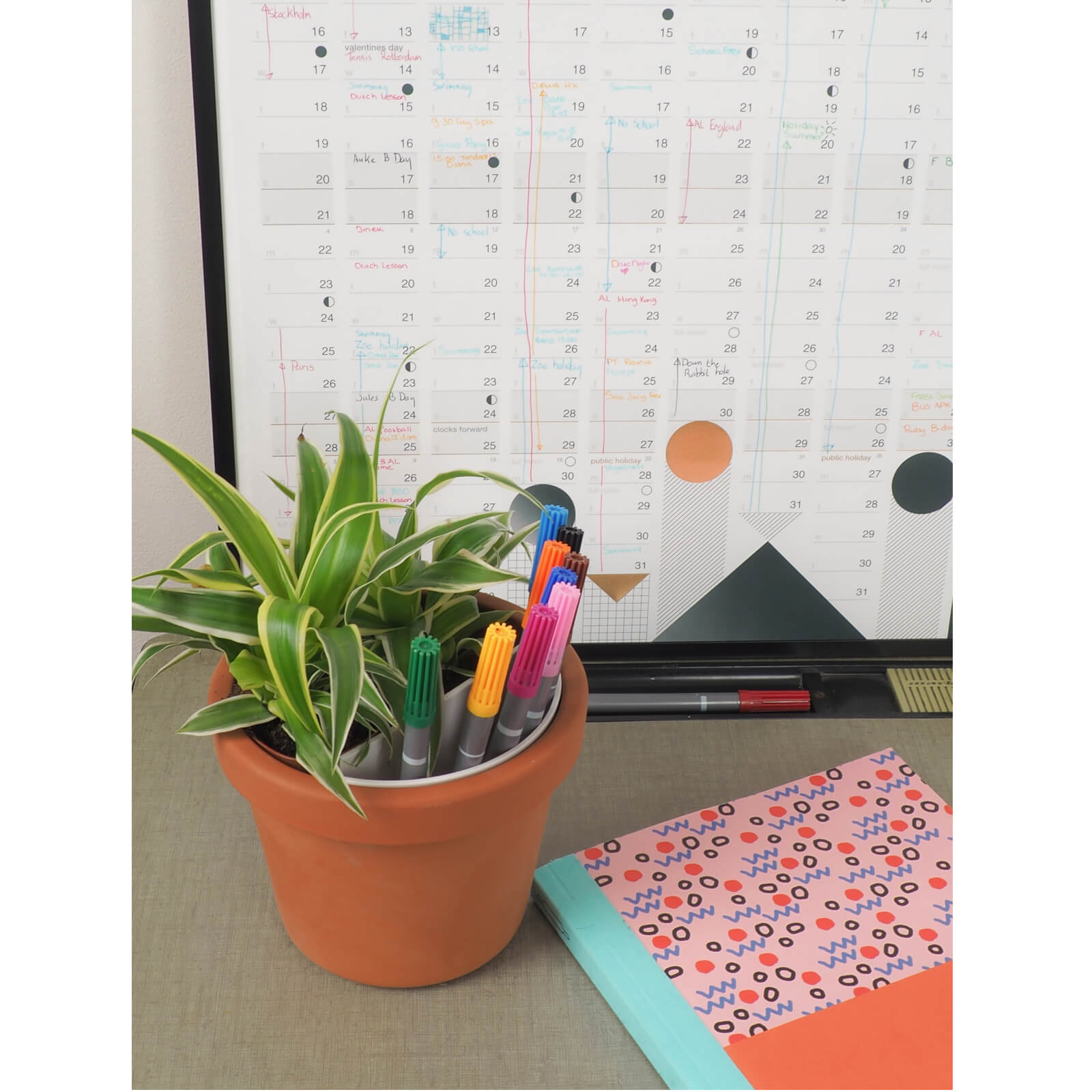 Plant Pot Tidy