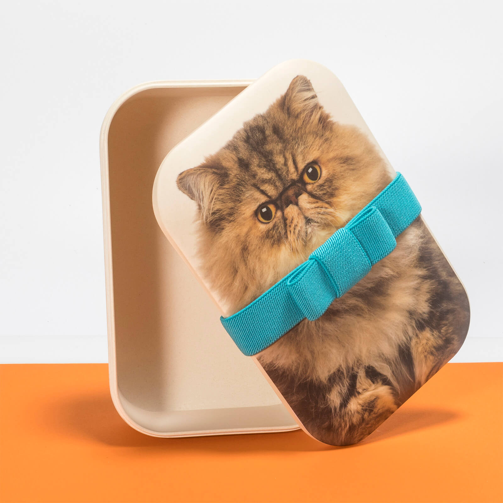 Fat Cat Bento Box