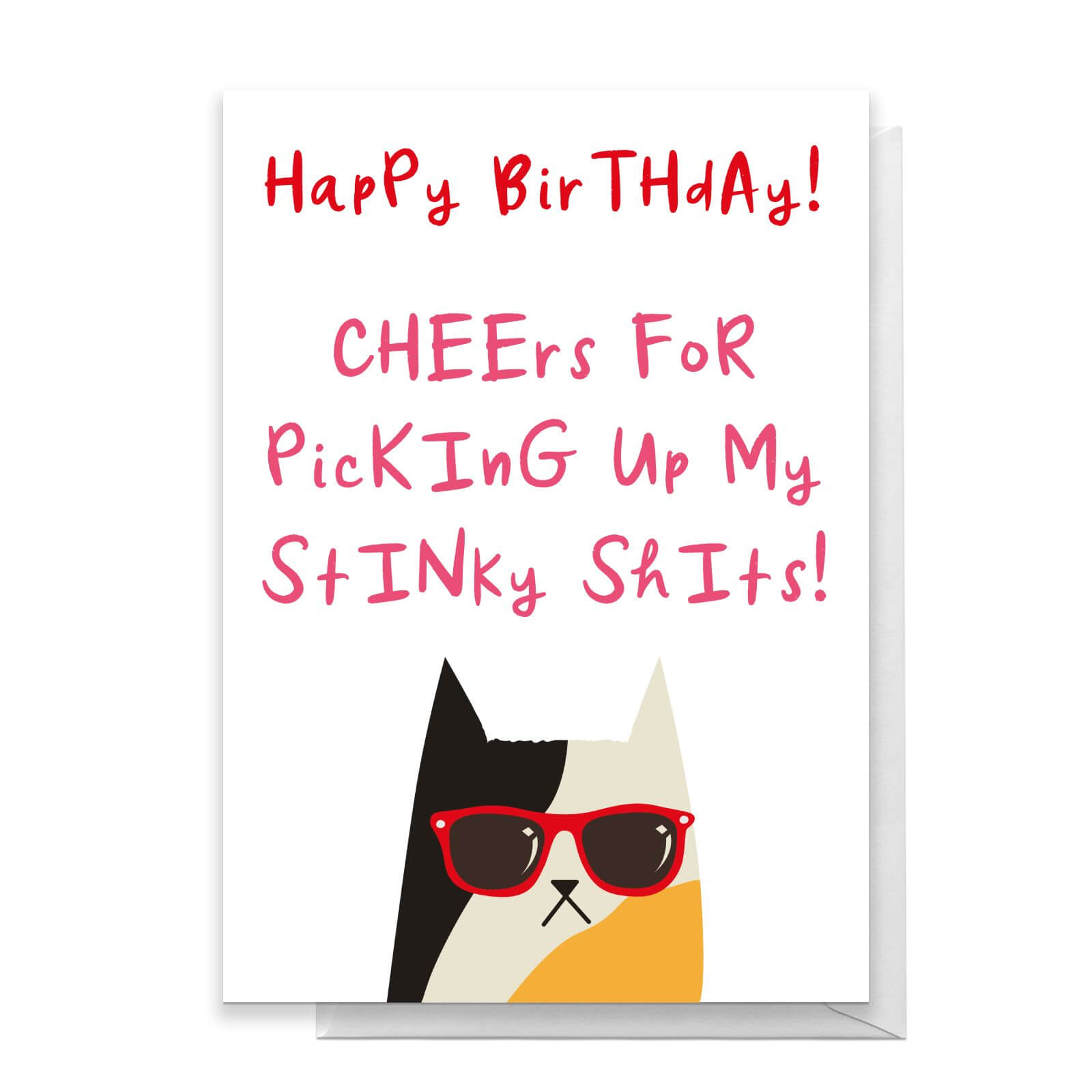 Cheers For Picking Up My Stinky Shits Cat Version Greetings Card - Large Card