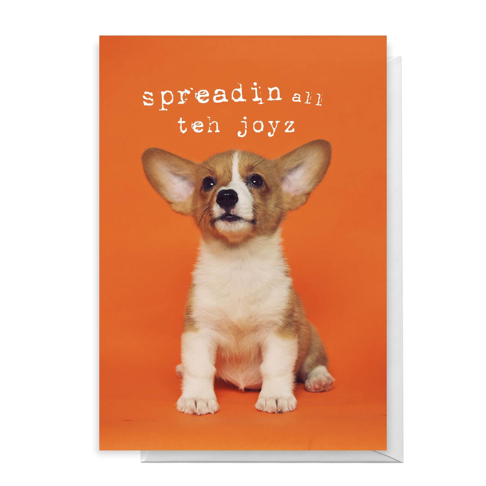 Spreadin All Teh Joyz Greetings Card - Standard Card