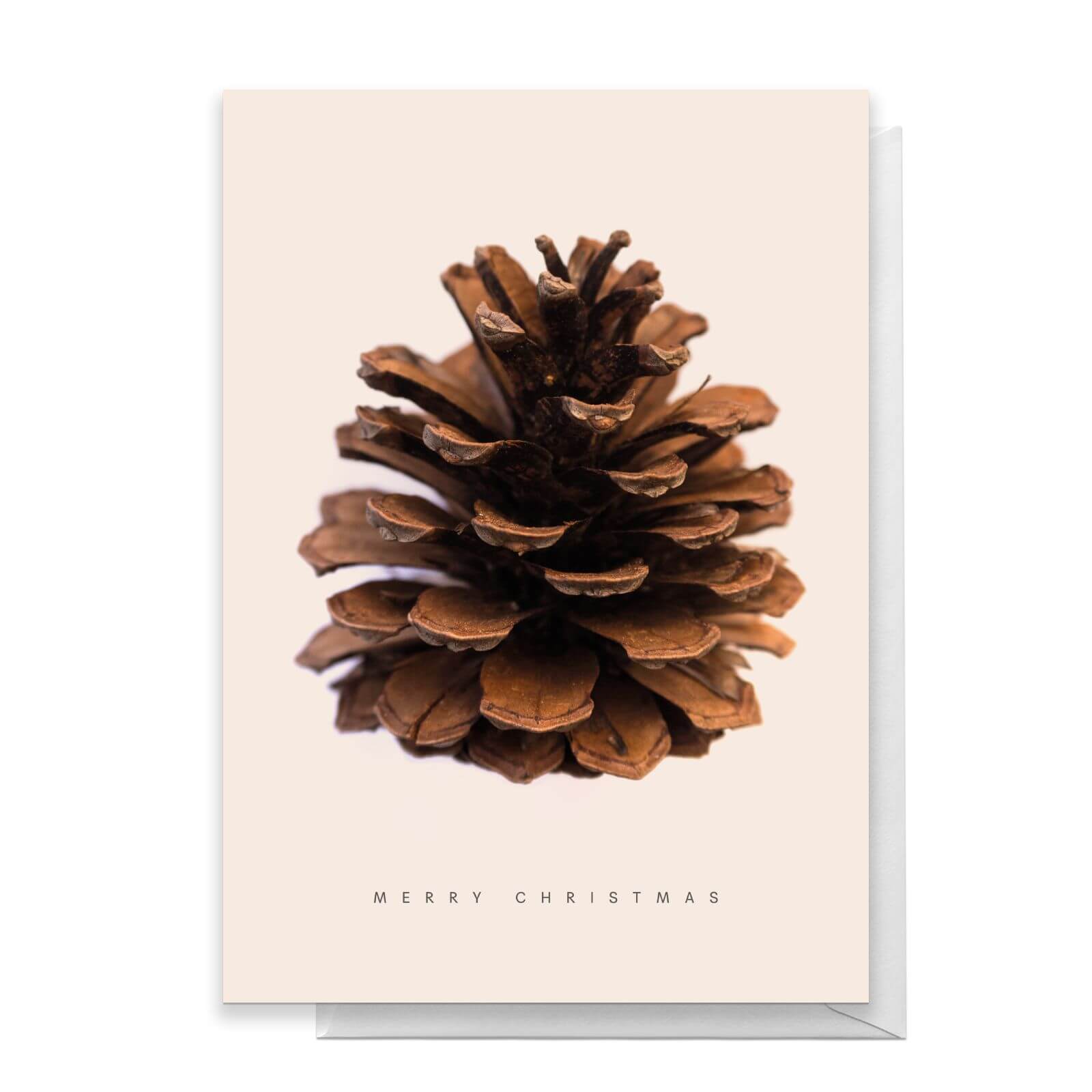 Pine Cone Merry Christmas Greetings Card - Standard Card
