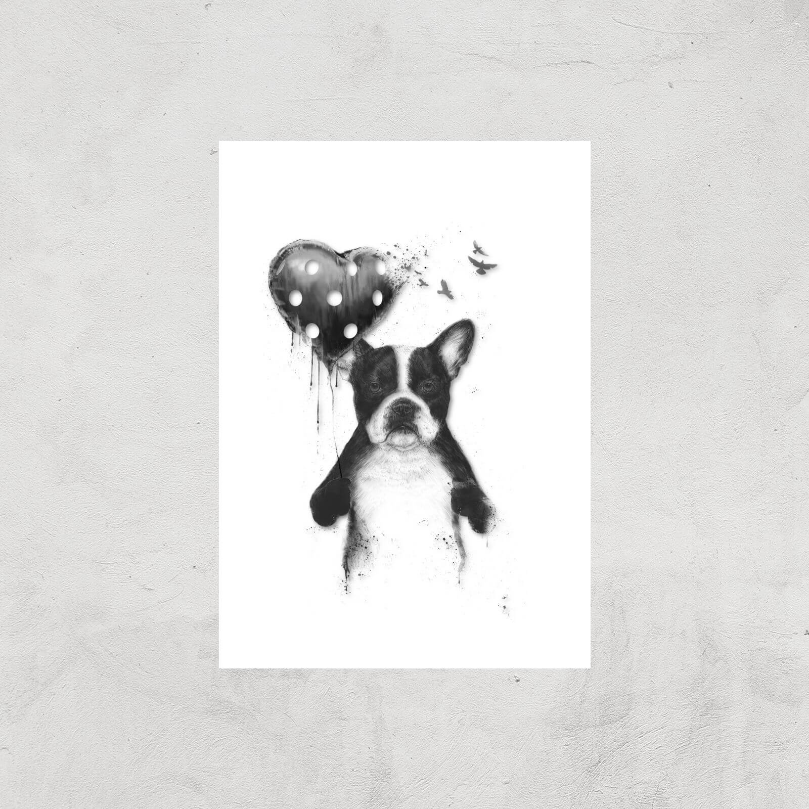 Balazs Solti Bulldog and Balloon Art Print - A2 - Print Only