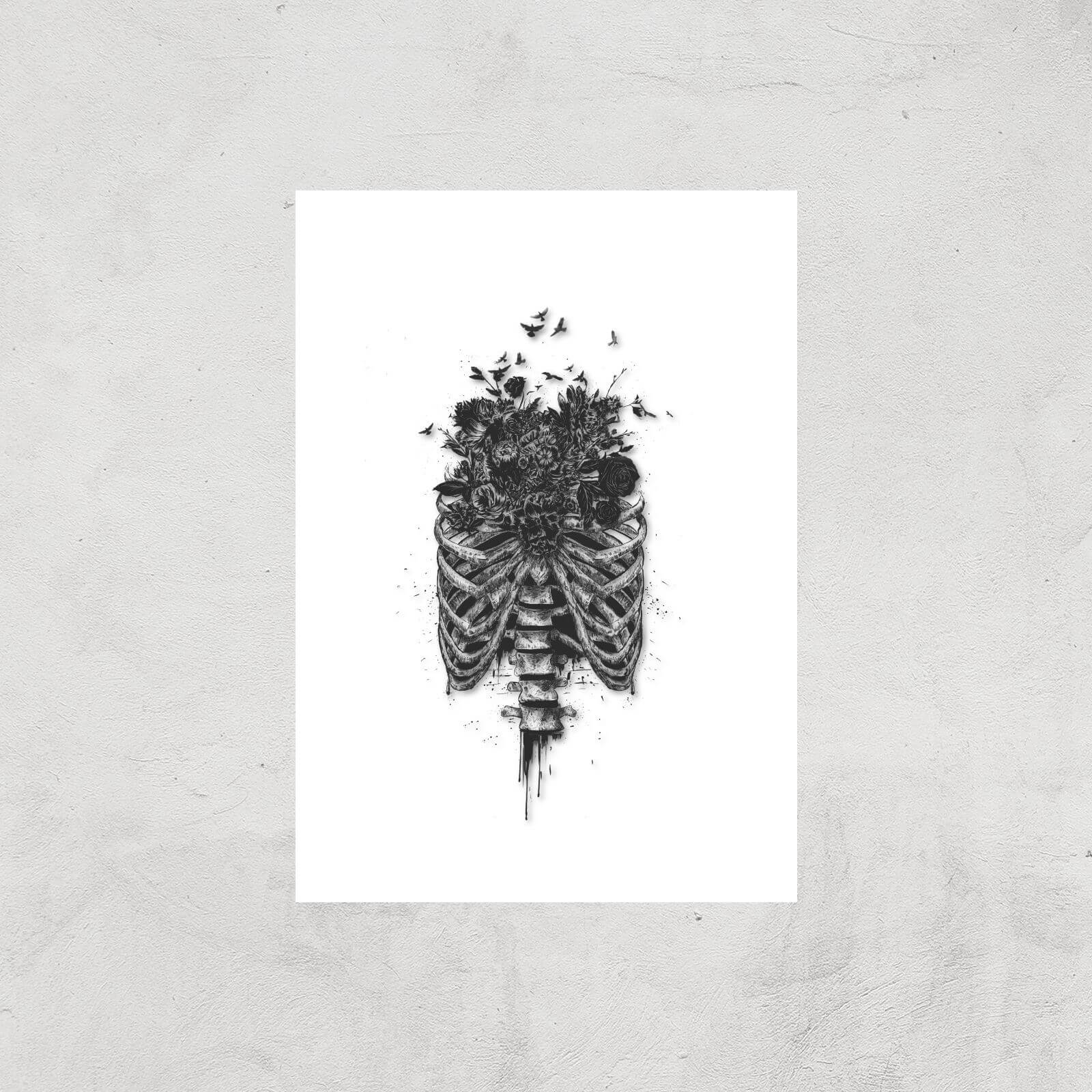 Balazs Solti Ribcage and Flowers Art Print - A2 - Print Only