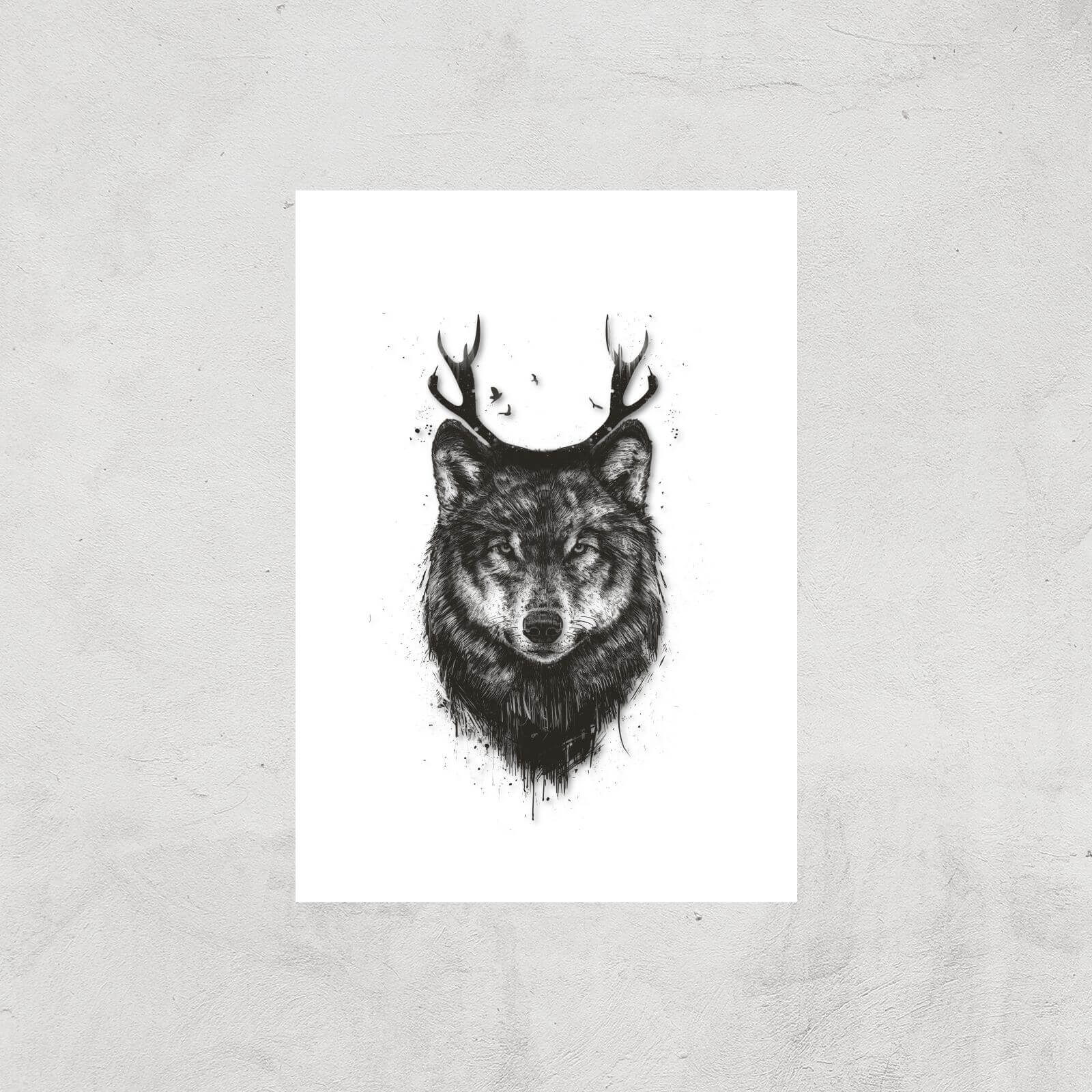 Balazs Solti Wolf Art Print - A2 - Print Only