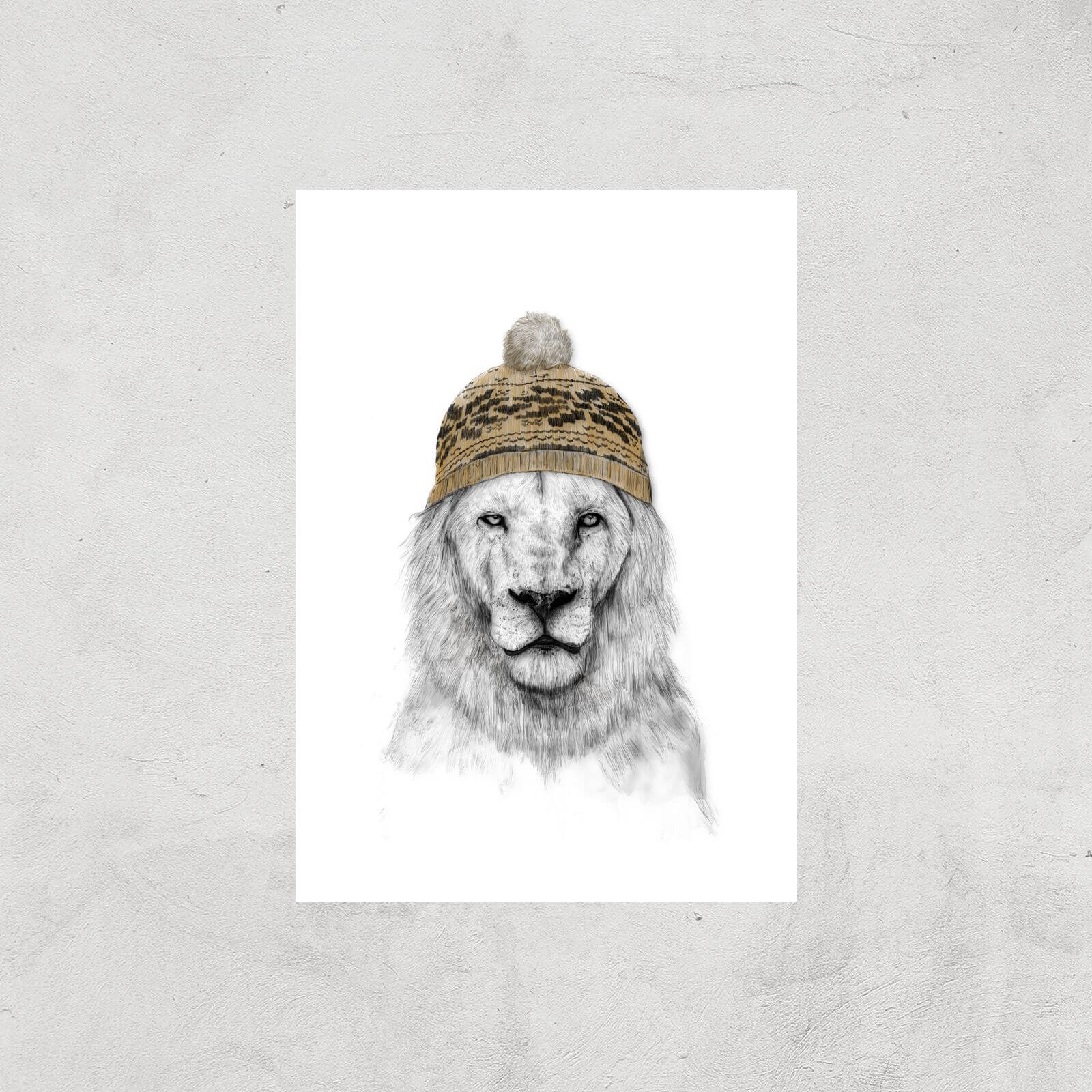 Balazs Solti Lion with Hat Art Print - A2 - Print Only