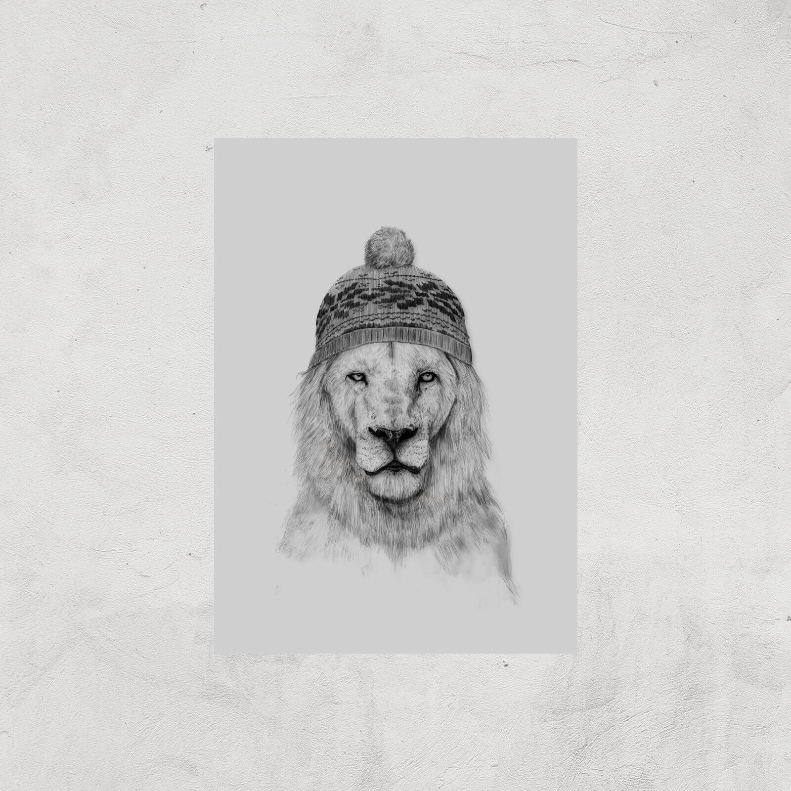 Lion With Hat Art Print - A2 - Print Only