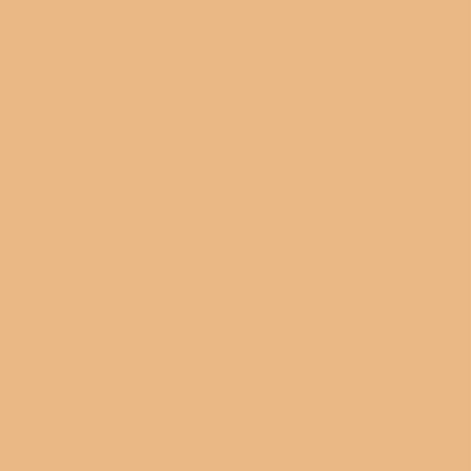 

Kevyn Aucoin The Foundation Balm 0.7 oz (Various Shades) - FB 4.5