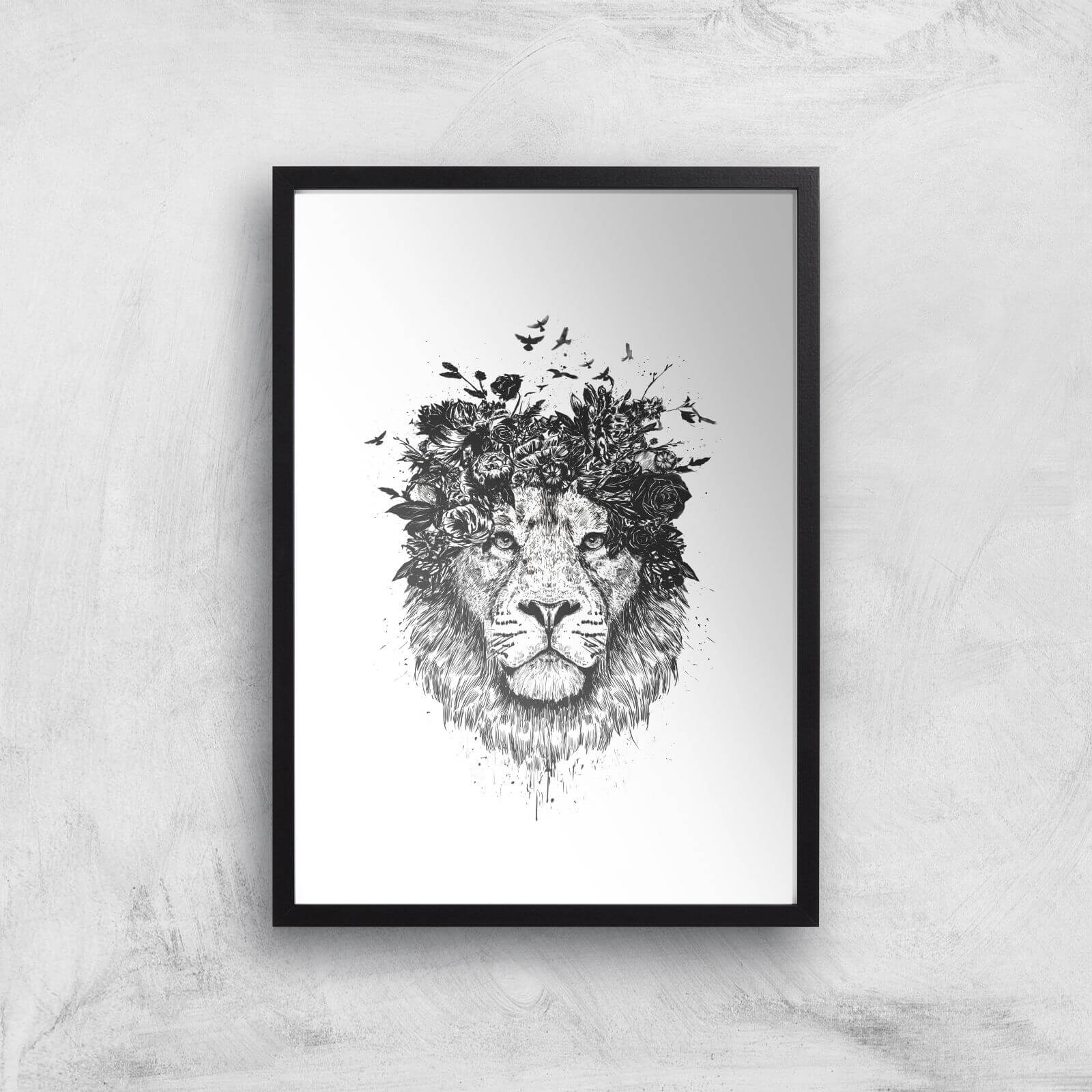 Balazs Solti Lion and Flowers Art Print - A2 - Black Frame