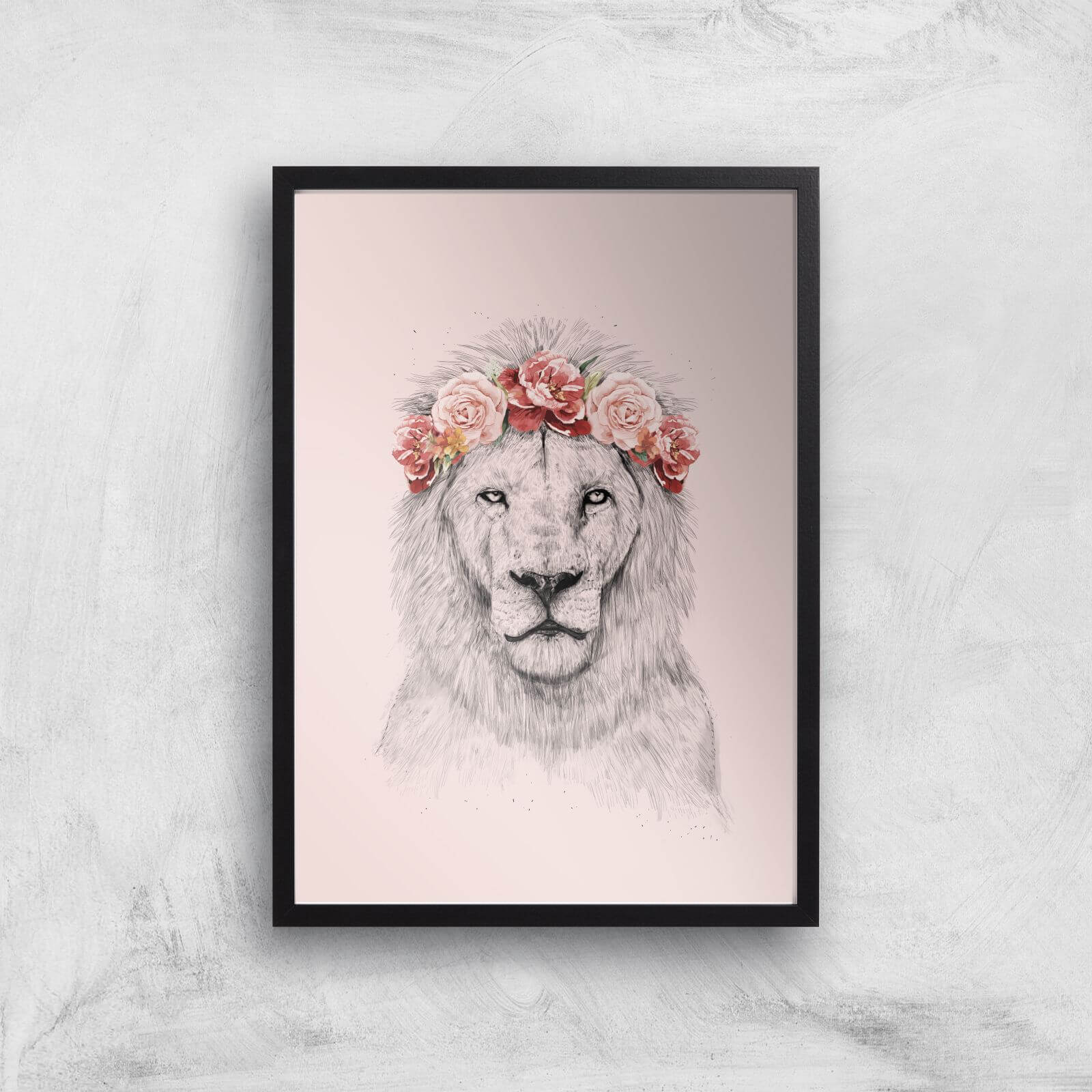 Balazs Solti Lion and Flowers Art Print - A2 - Black Frame
