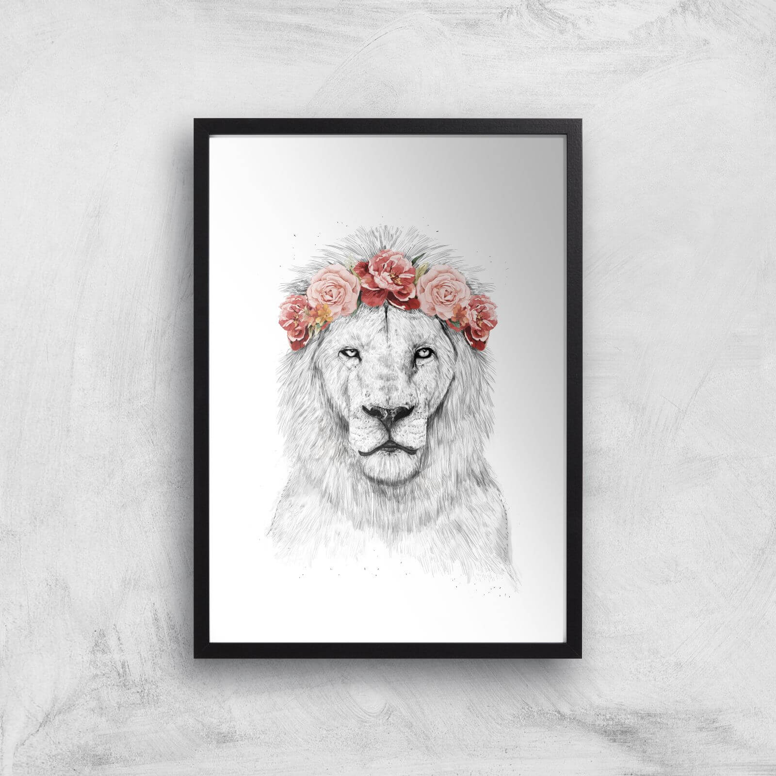 Balazs Solti Lion and Flowers Art Print - A2 - Black Frame