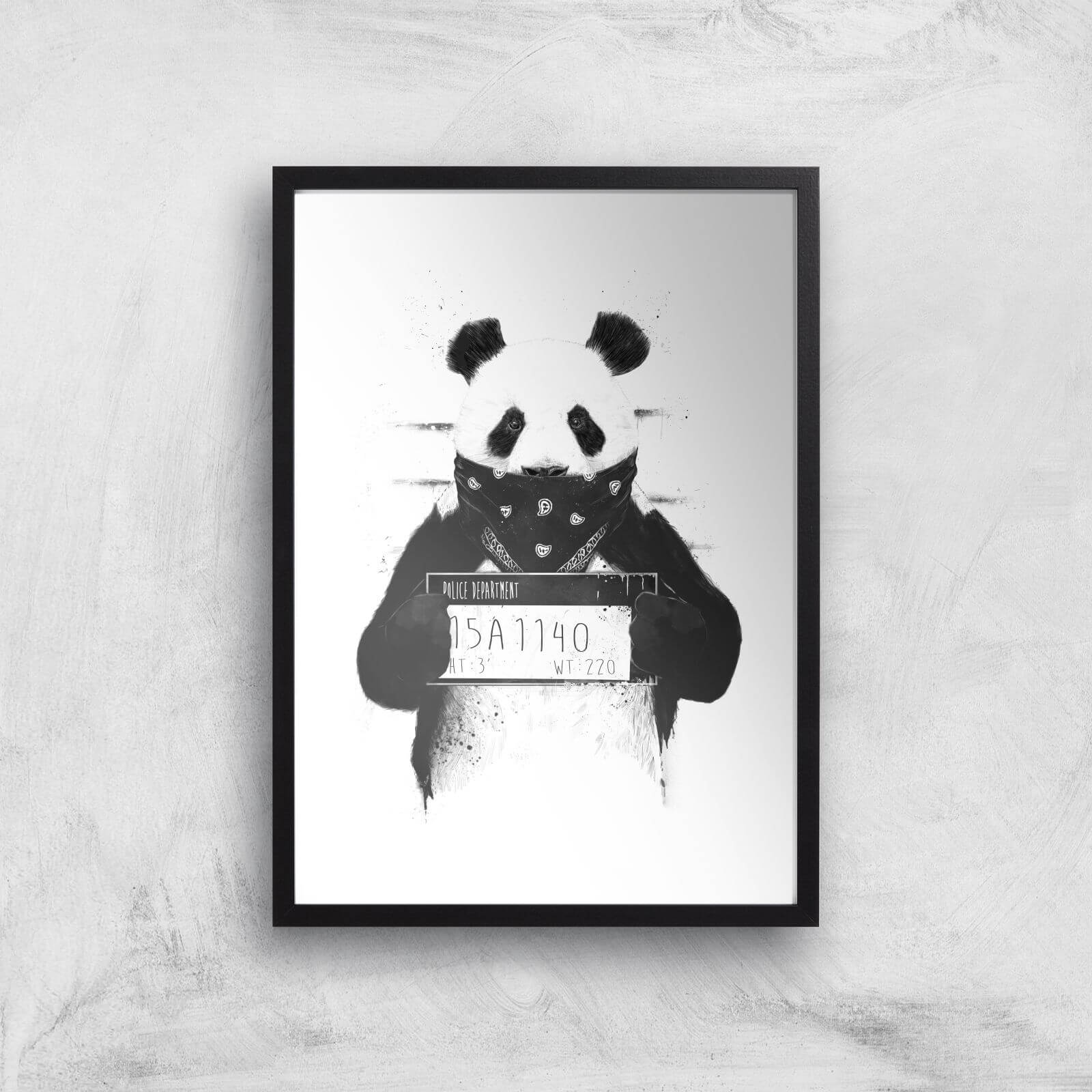 Balazs Solti Bandana Panda Art Print - A2 - Black Frame