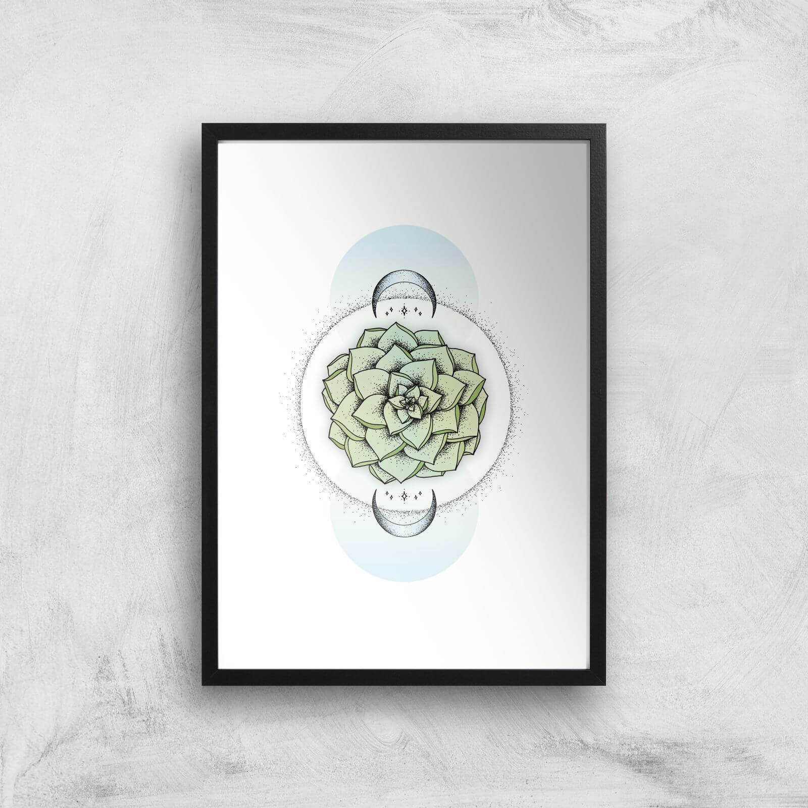 Sempervivum Art Print - A2 - Black Frame