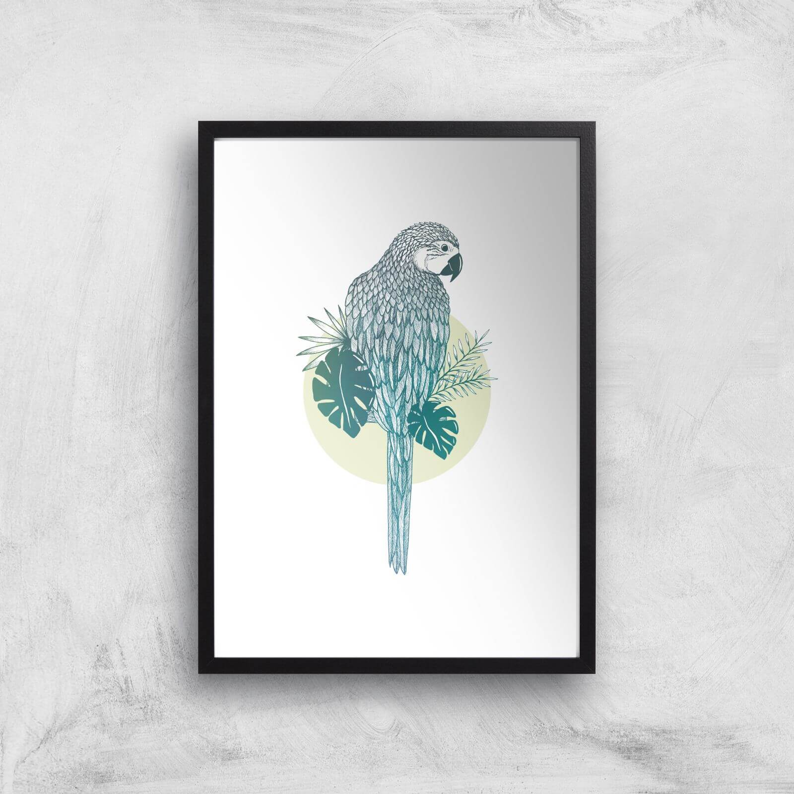 Parrot Art Print - A2 - Black Frame