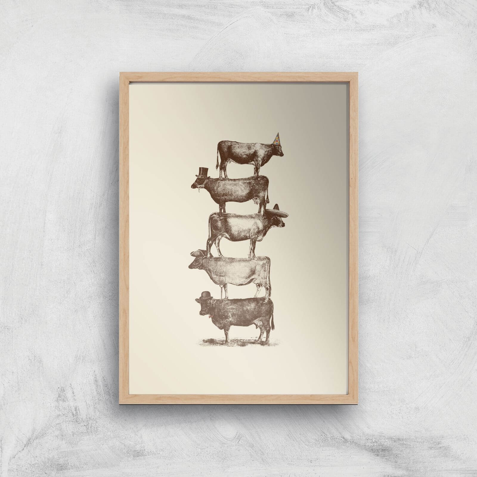 Cow Cow Nuts Art Print - A2 - White Frame