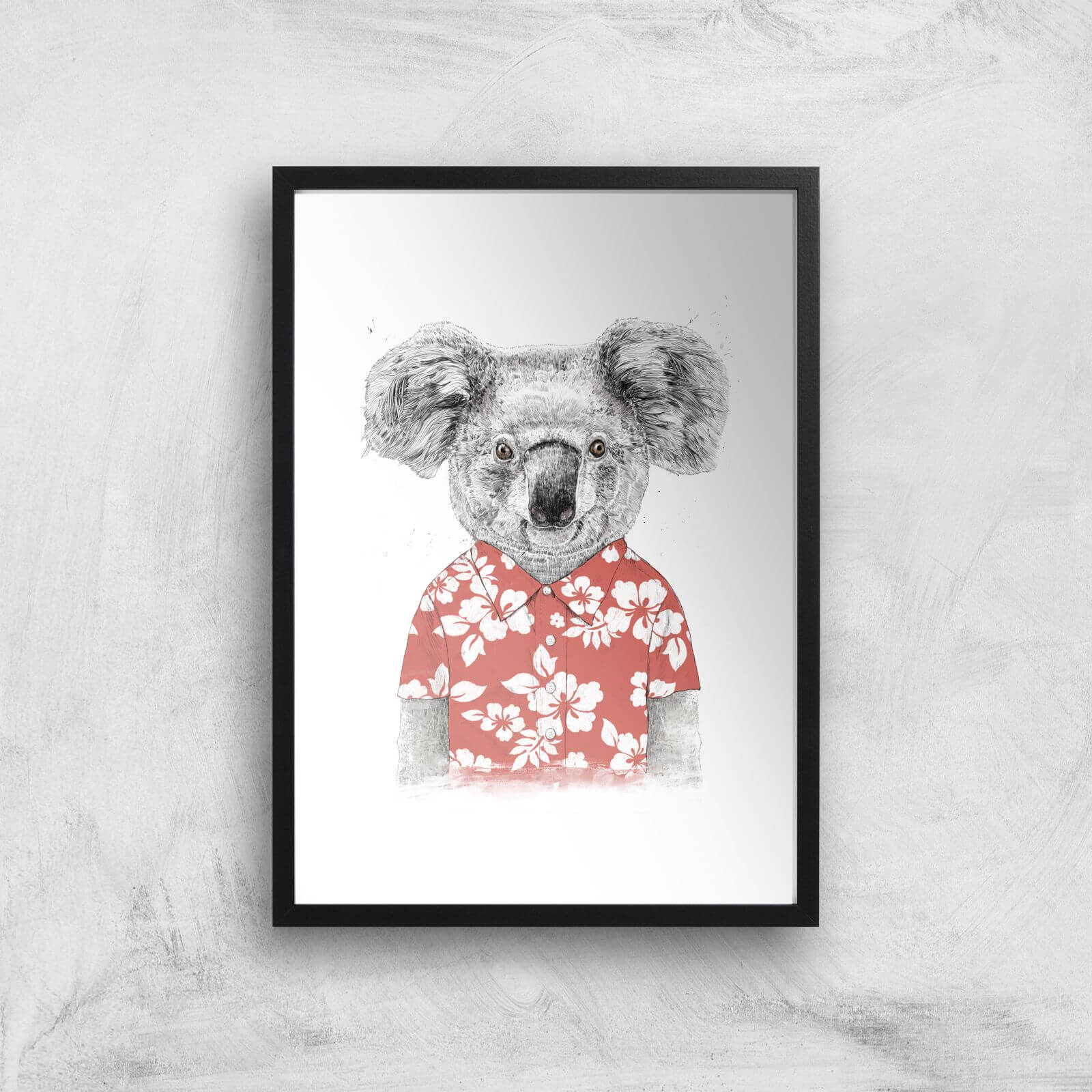 Balazs Solti Koala Bear Art Print - A2 - Black Frame