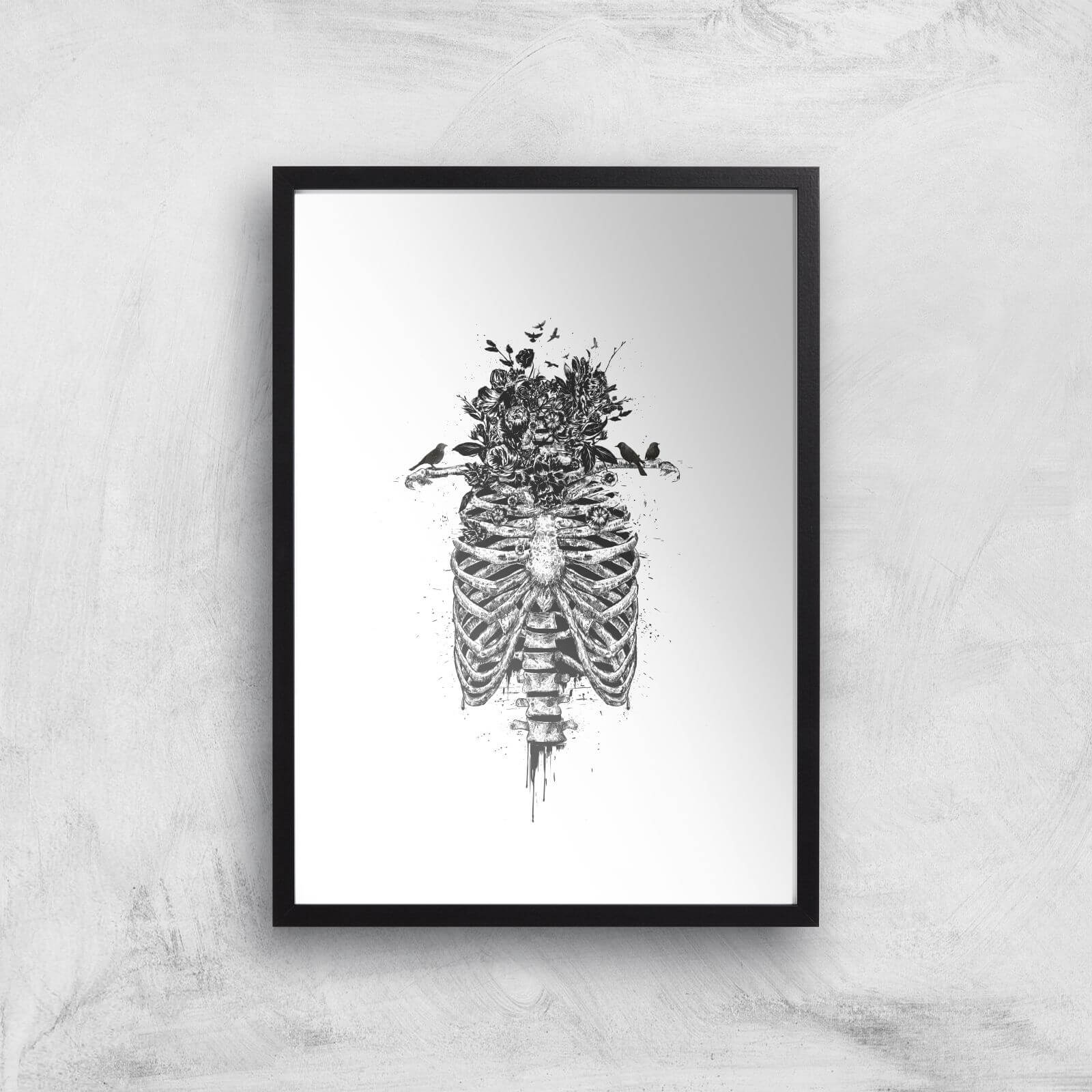Balazs Solti Skulls and Flowers Art Print - A2 - Black Frame