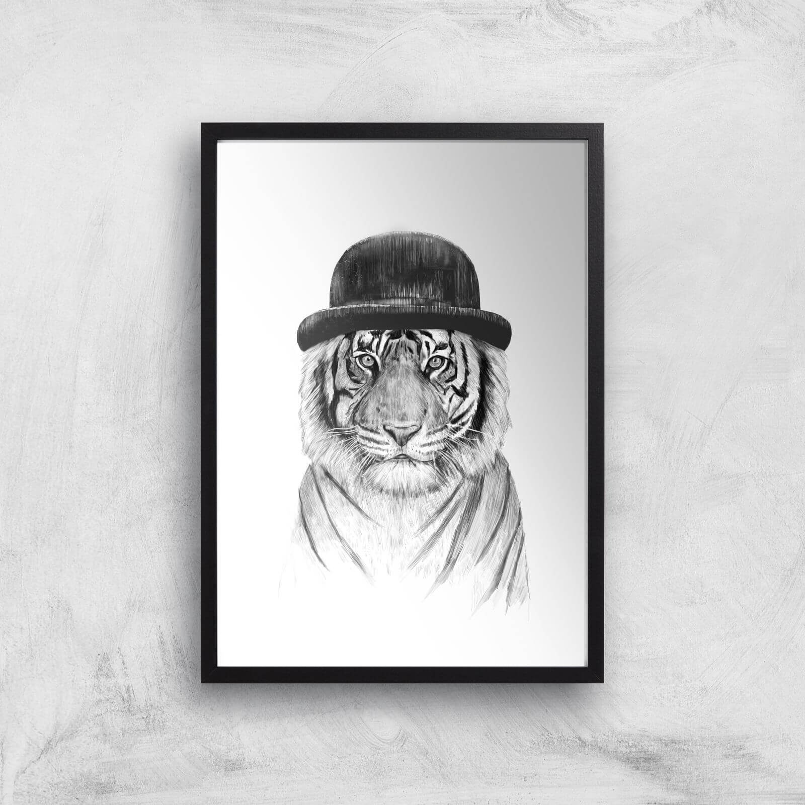 Balazs Solti Tiger In A Hat Art Print - A2 - Black Frame