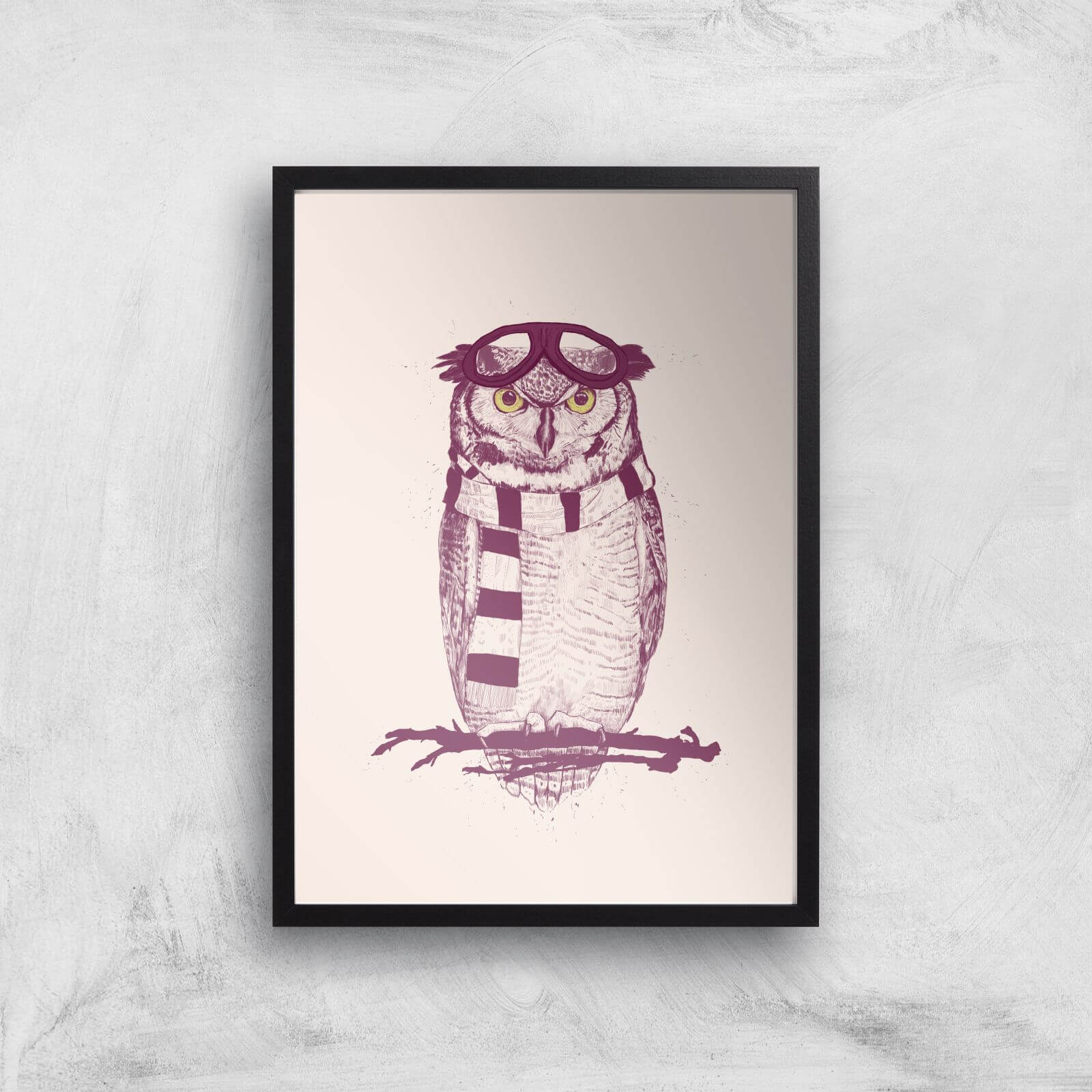 Balazs Solti Winter Owl Art Print - A2 - Black Frame