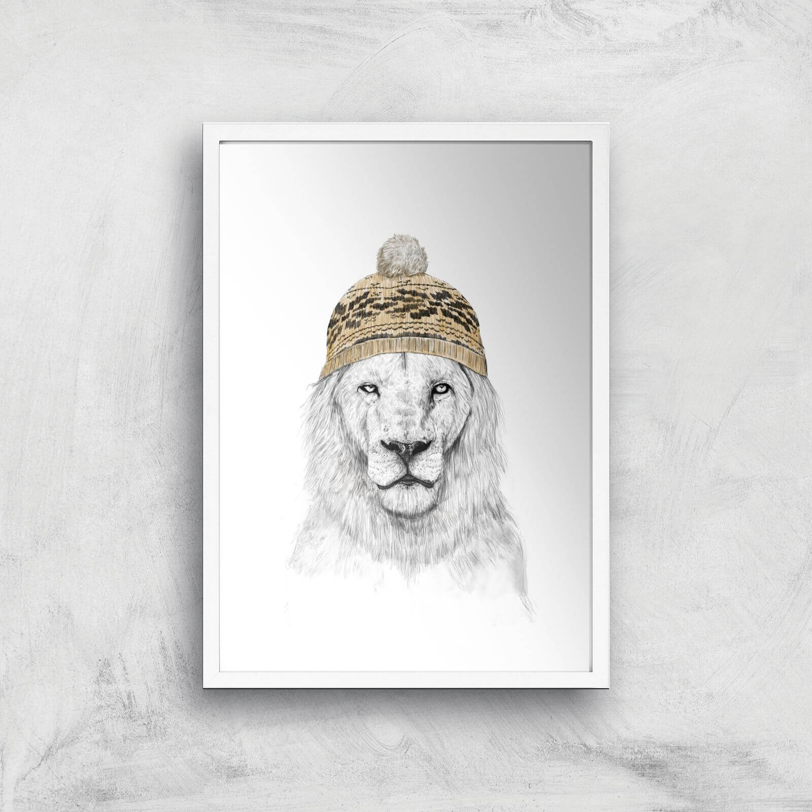 Balazs Solti Lion with Hat Art Print - A2 - White Frame