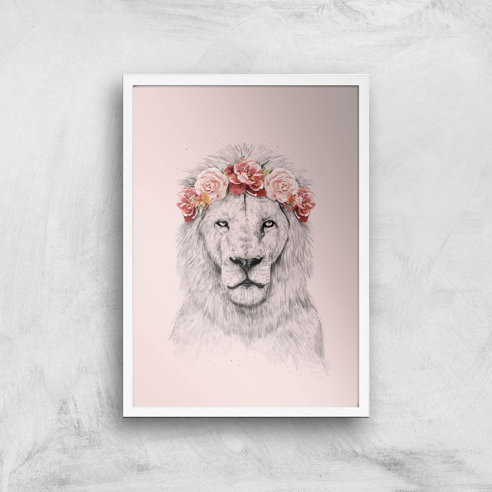 Balazs Solti Lion and Flowers Art Print - A2 - White Frame