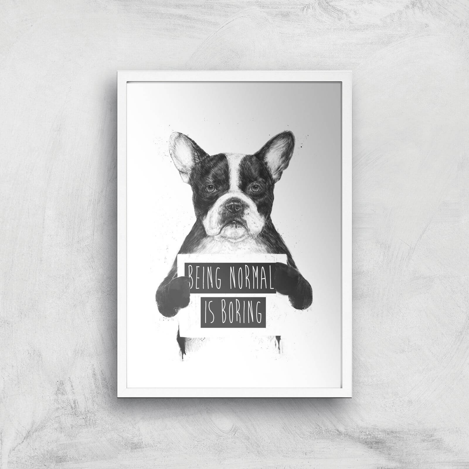 Balazs Solti Being Normal Is Boring Art Print - A2 - White Frame
