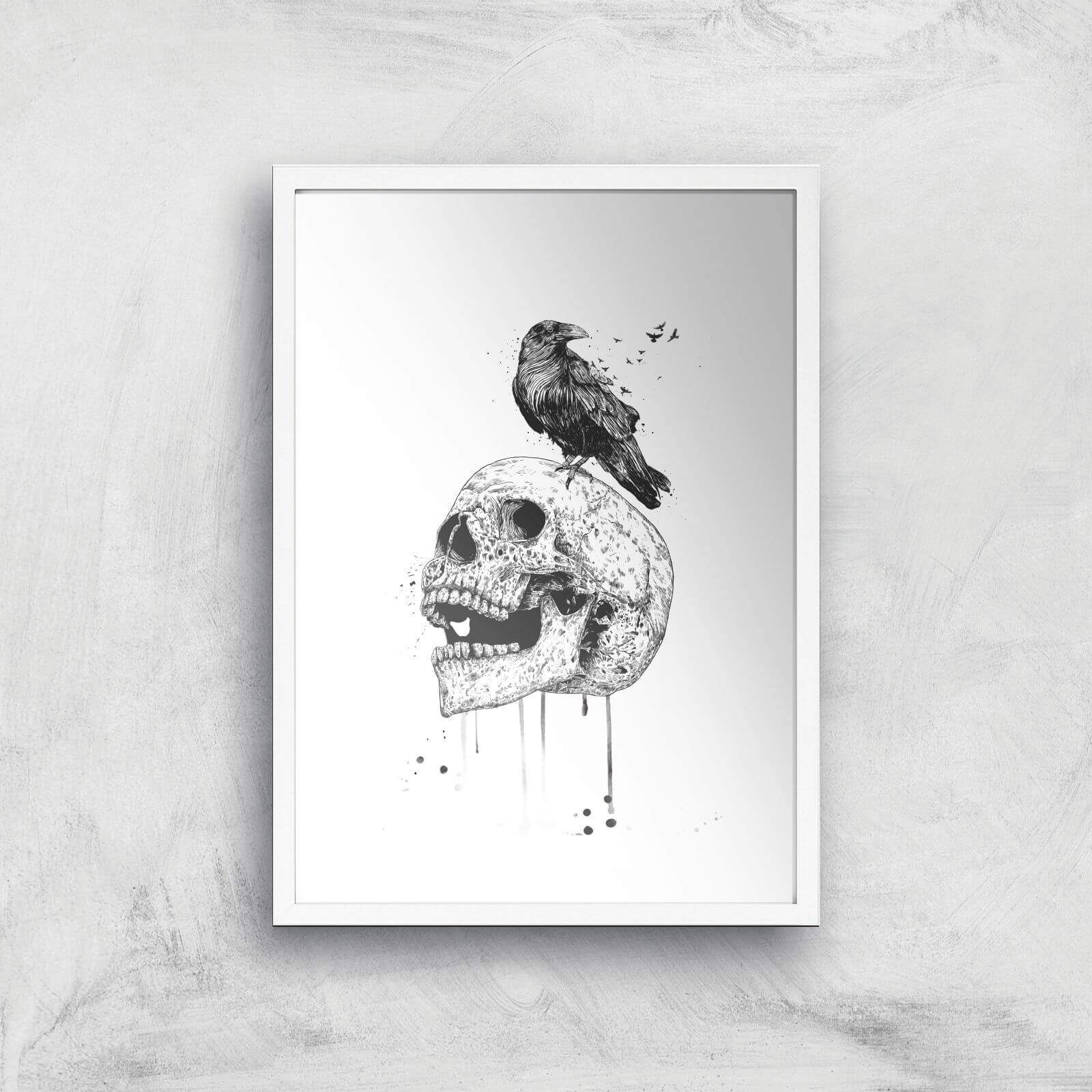 Balazs Solti Skull and Crow Art Print - A2 - White Frame