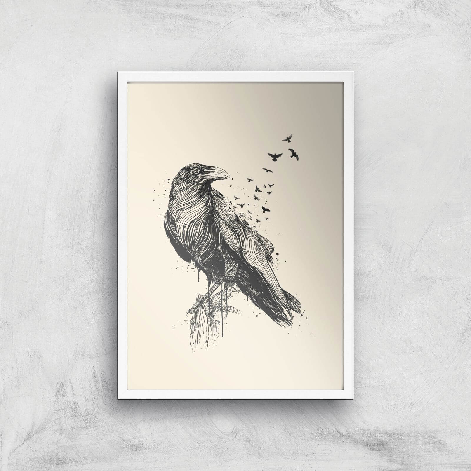 Balazs Solti Birds Flying Art Print - A2 - White Frame