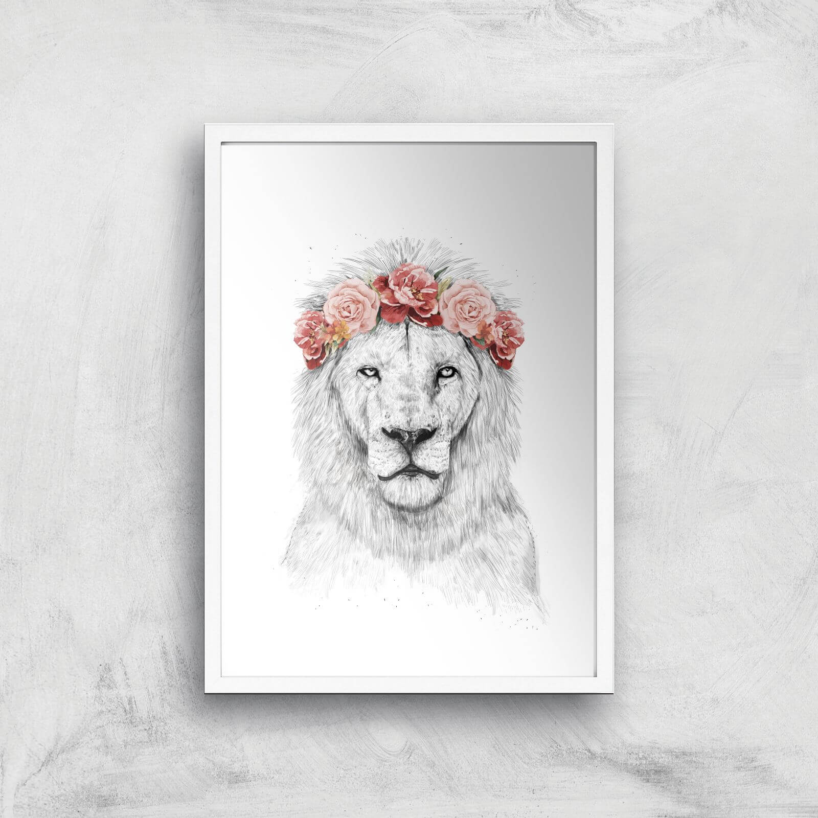 Balazs Solti Lion and Flowers Art Print - A2 - White Frame