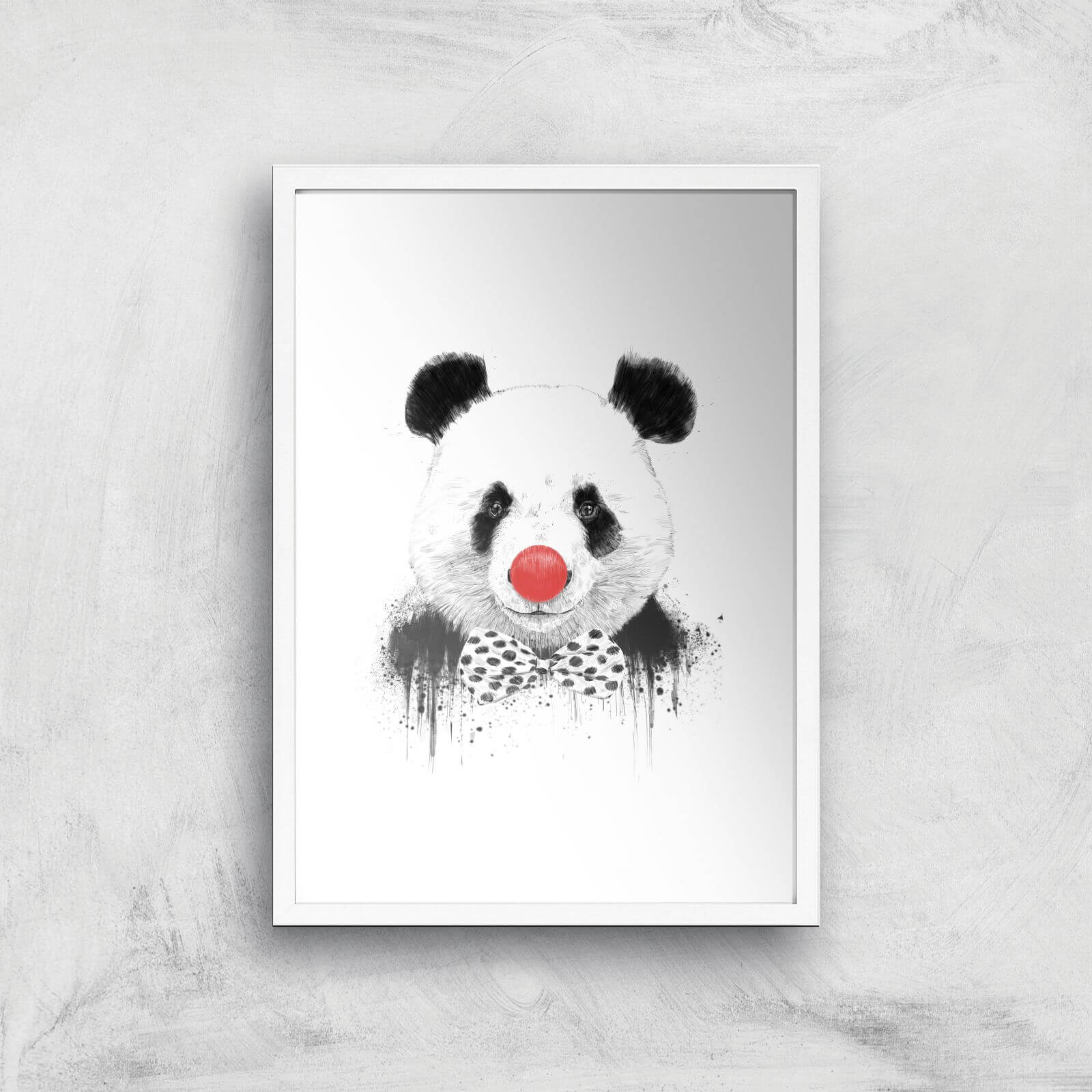 Balazs Solti Red Nosed Panda Art Print - A2 - White Frame