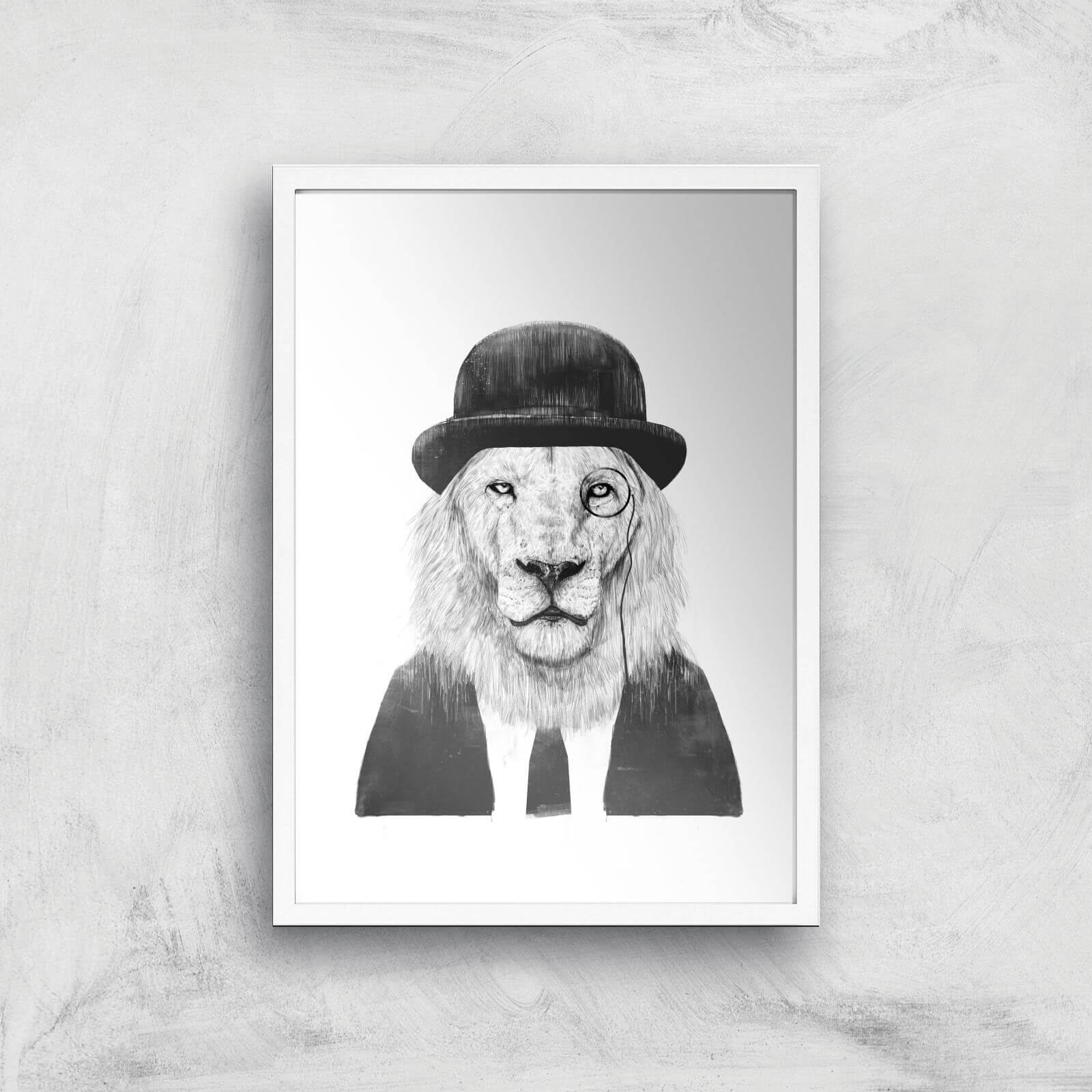 Balazs Solti Monocle Lion Art Print - A2 - White Frame