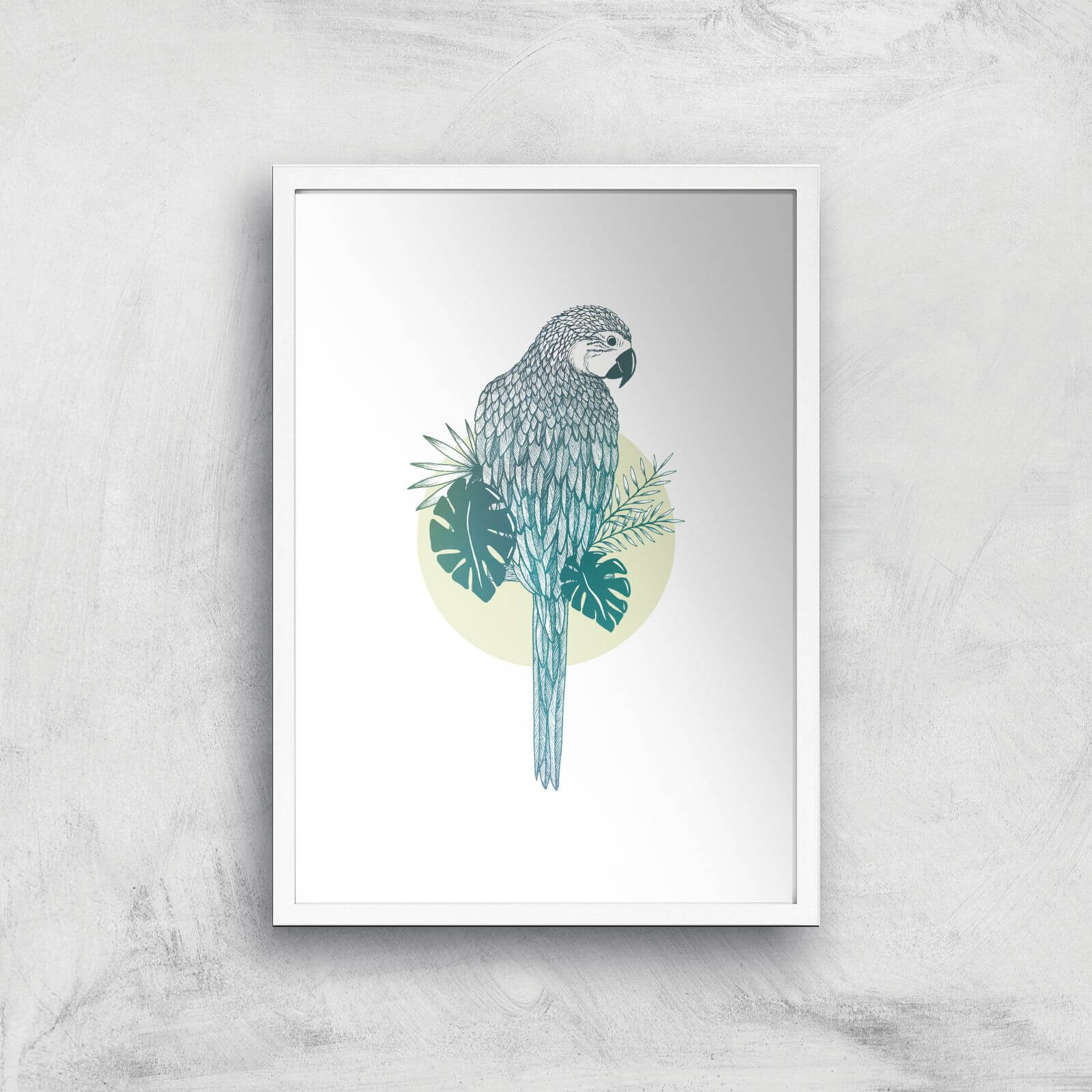 Parrot Art Print - A2 - White Frame