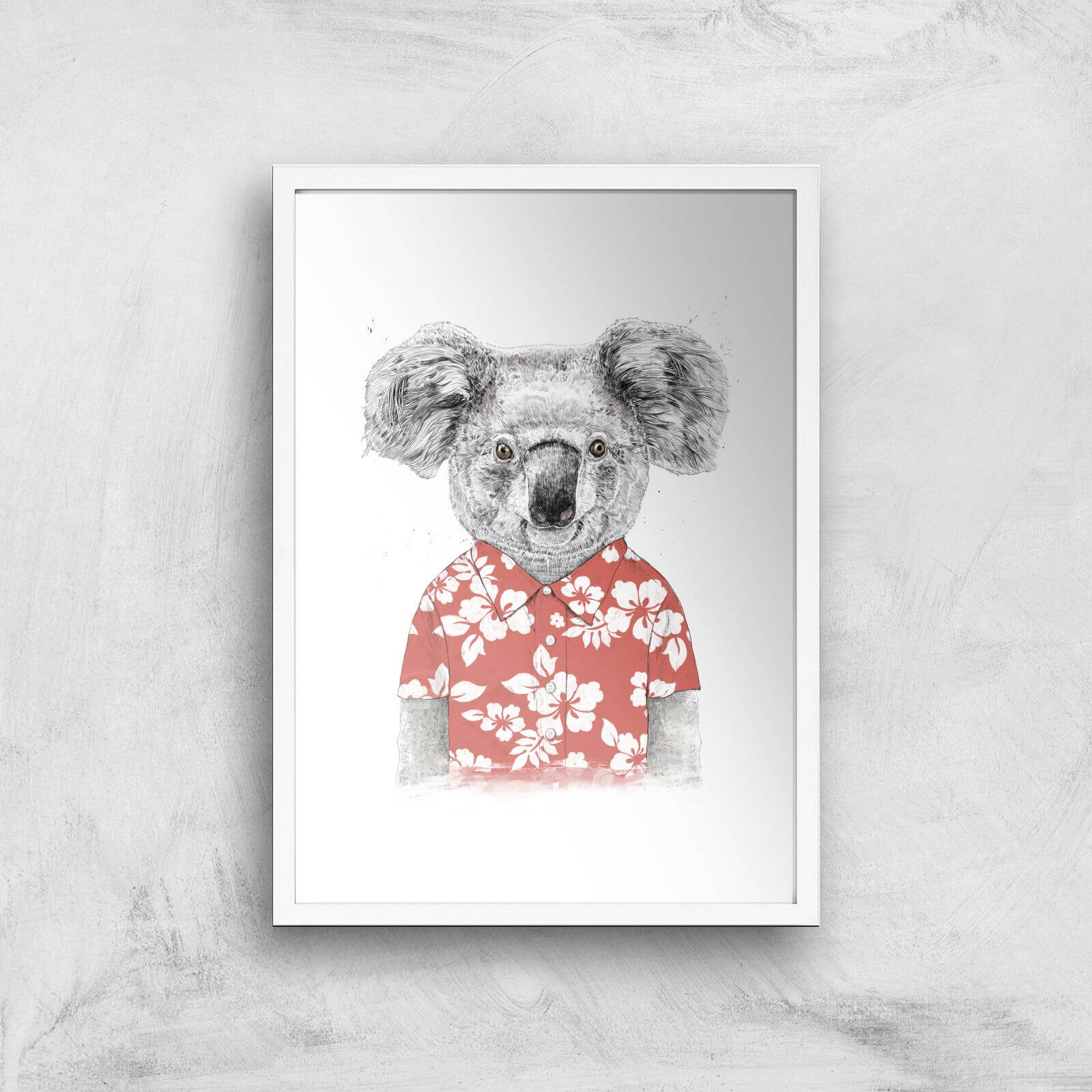 Balazs Solti Koala Bear Art Print - A2 - White Frame