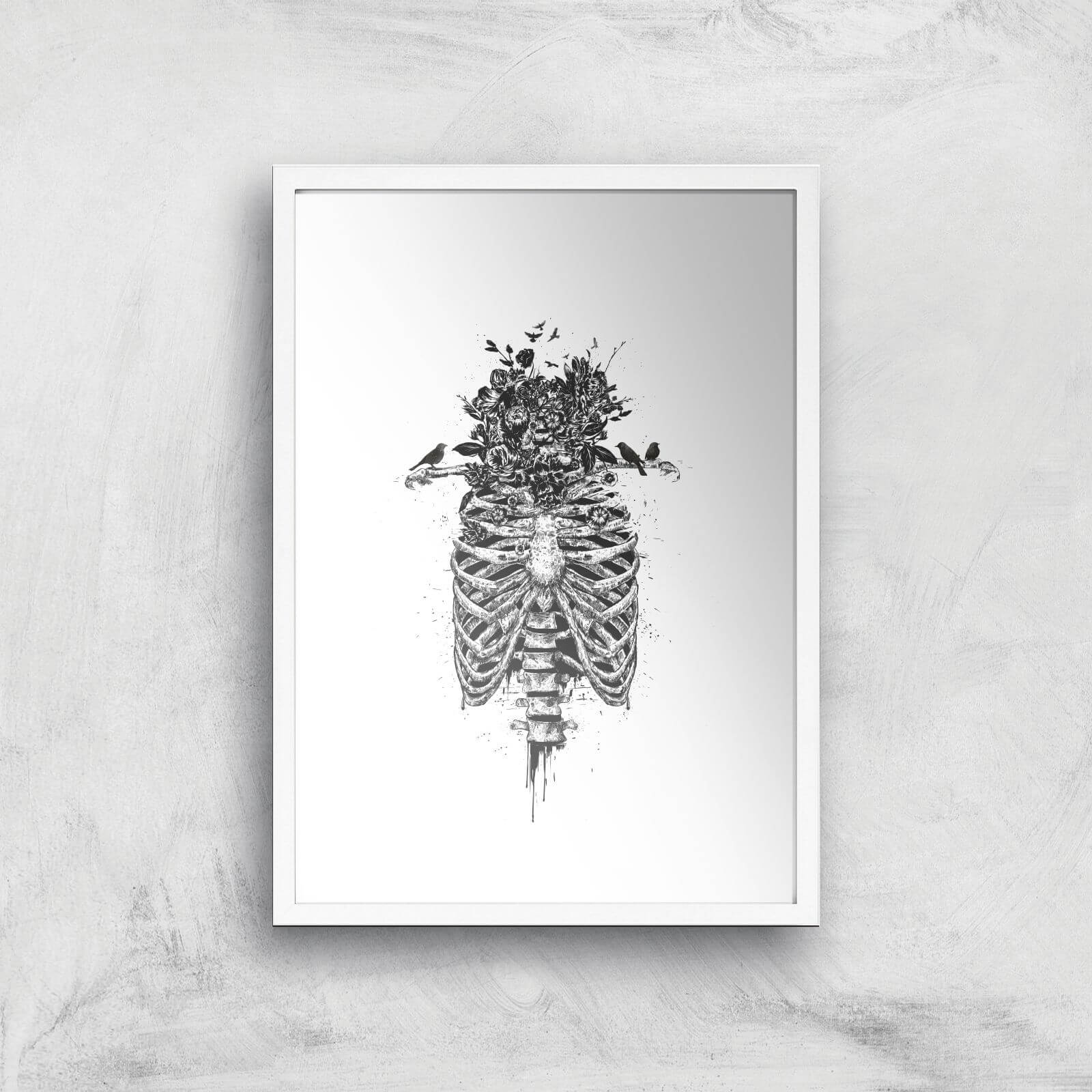 Balazs Solti Skulls and Flowers Art Print - A2 - White Frame