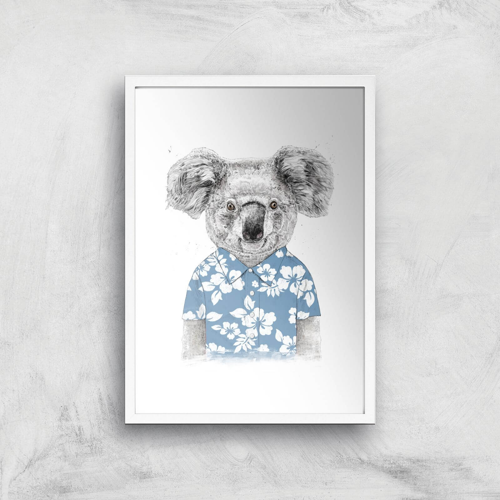 Balazs Solti Koala Bear Art Print - A2 - White Frame