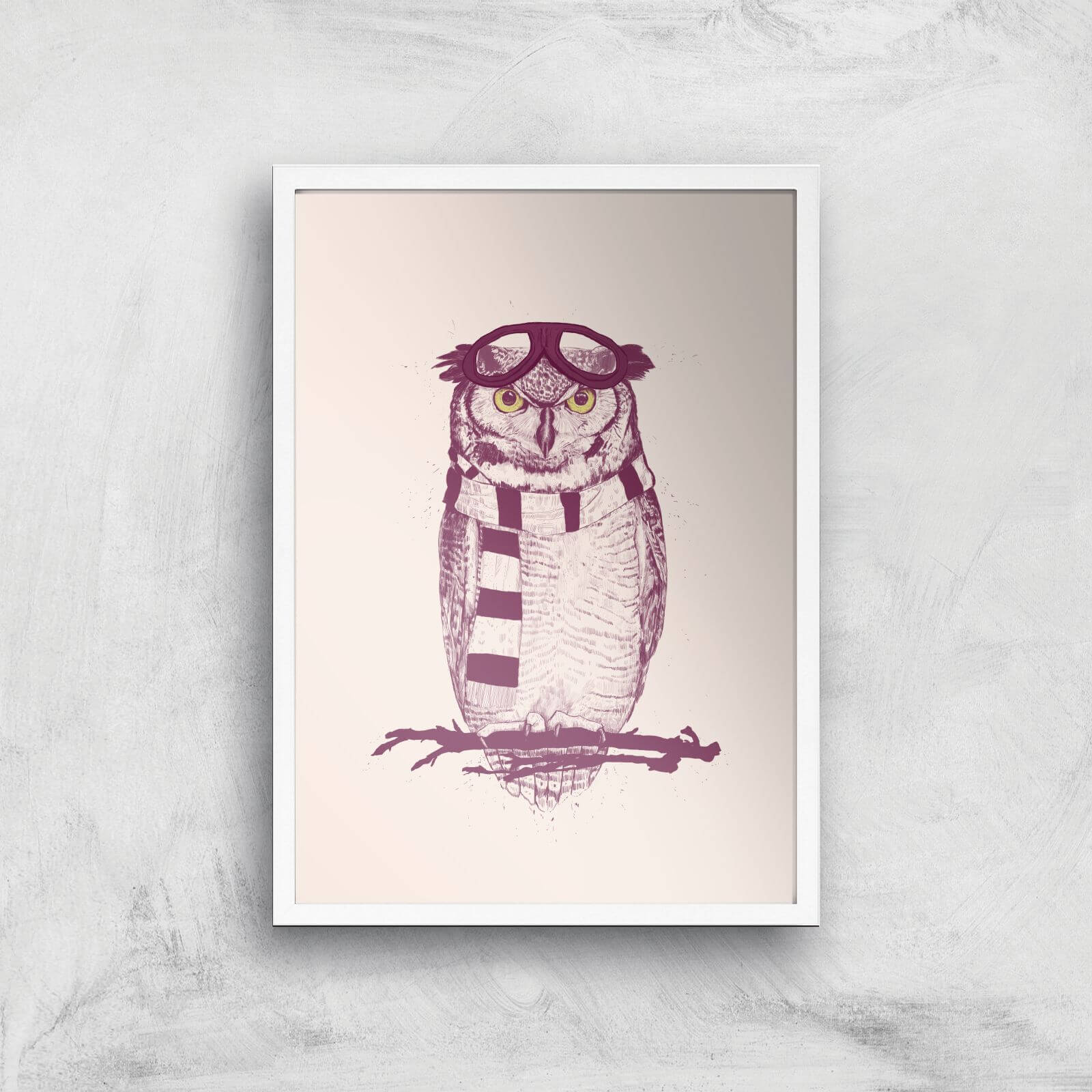 Balazs Solti Winter Owl Art Print - A2 - White Frame