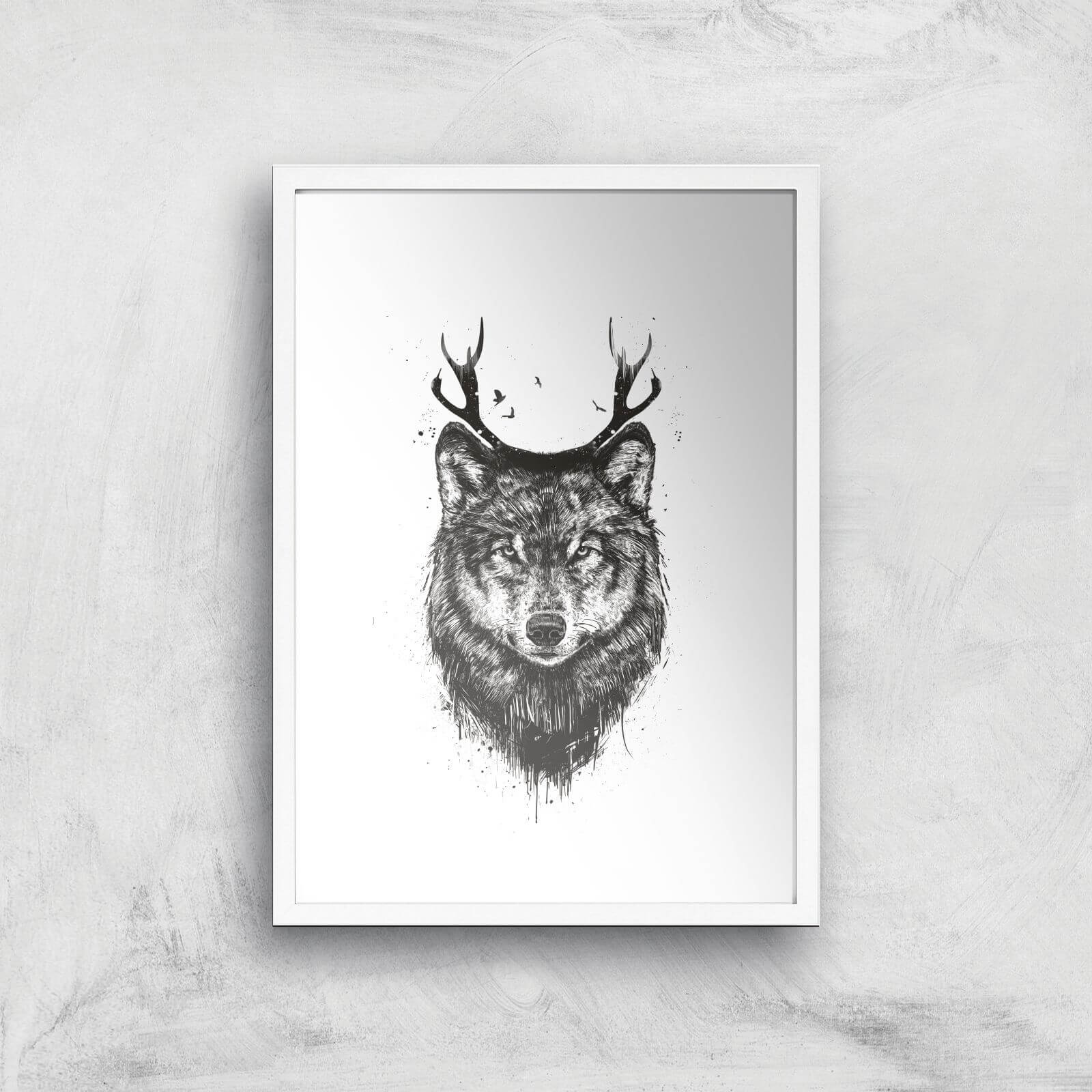 Balazs Solti Wolf Art Print - A2 - White Frame
